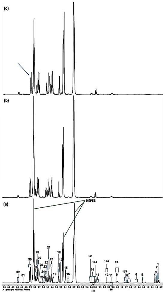 Molecules 31 00085 g004c