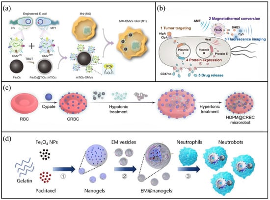 Molecules 31 00086 g001