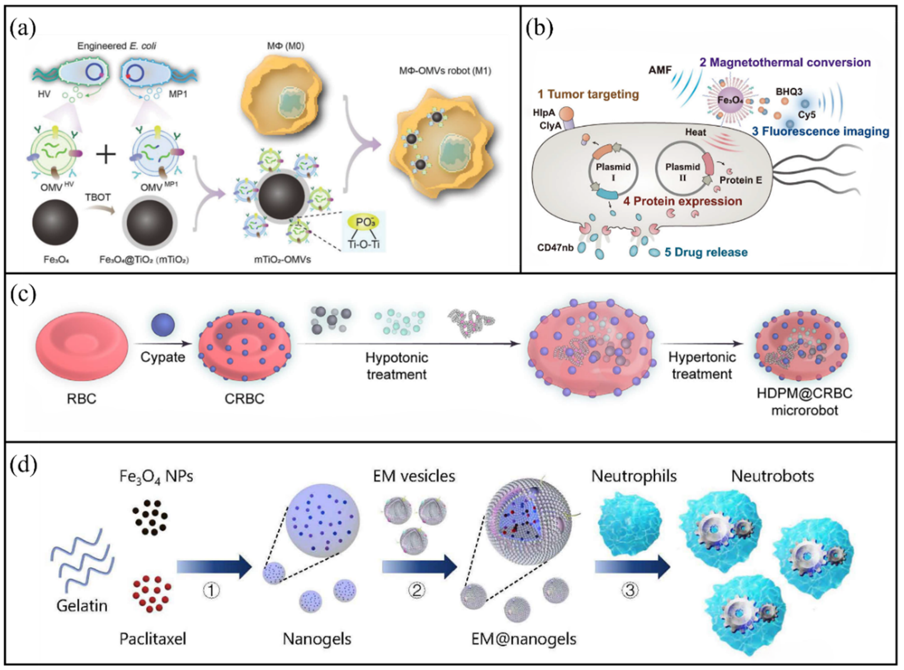 Molecules 31 00086 g001