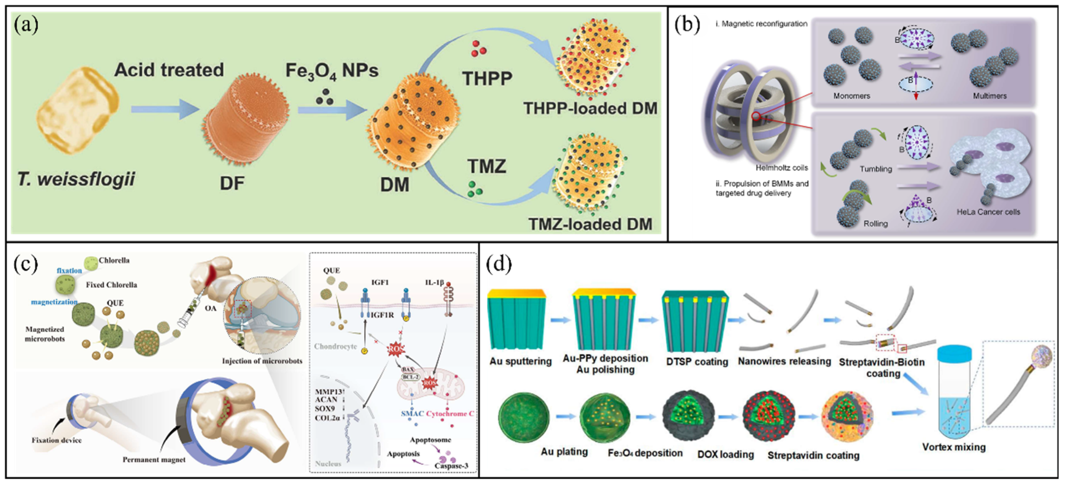 Molecules 31 00086 g002