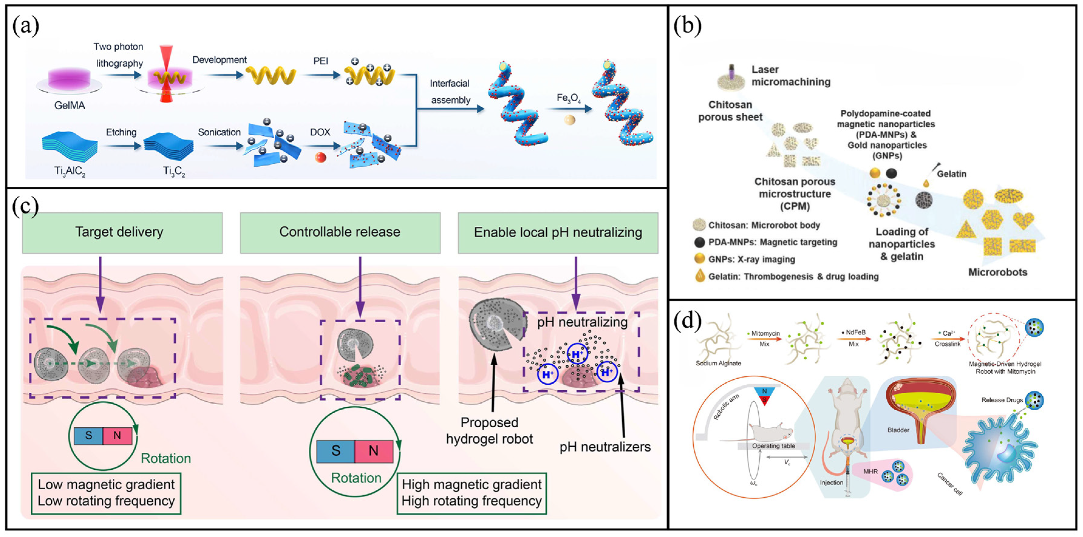 Molecules 31 00086 g003