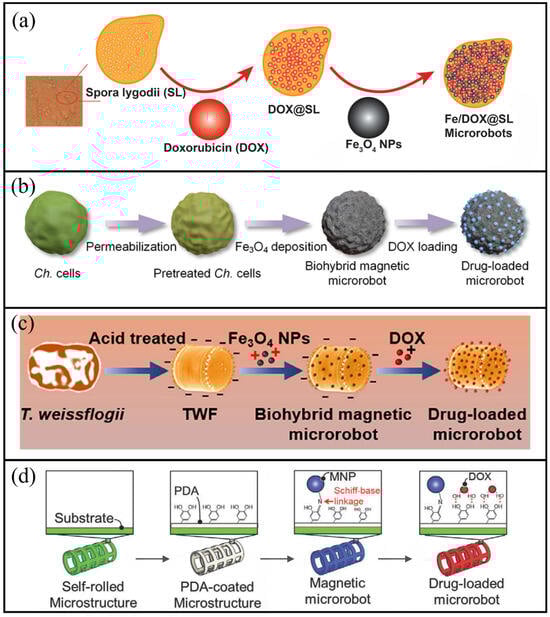 Molecules 31 00086 g005