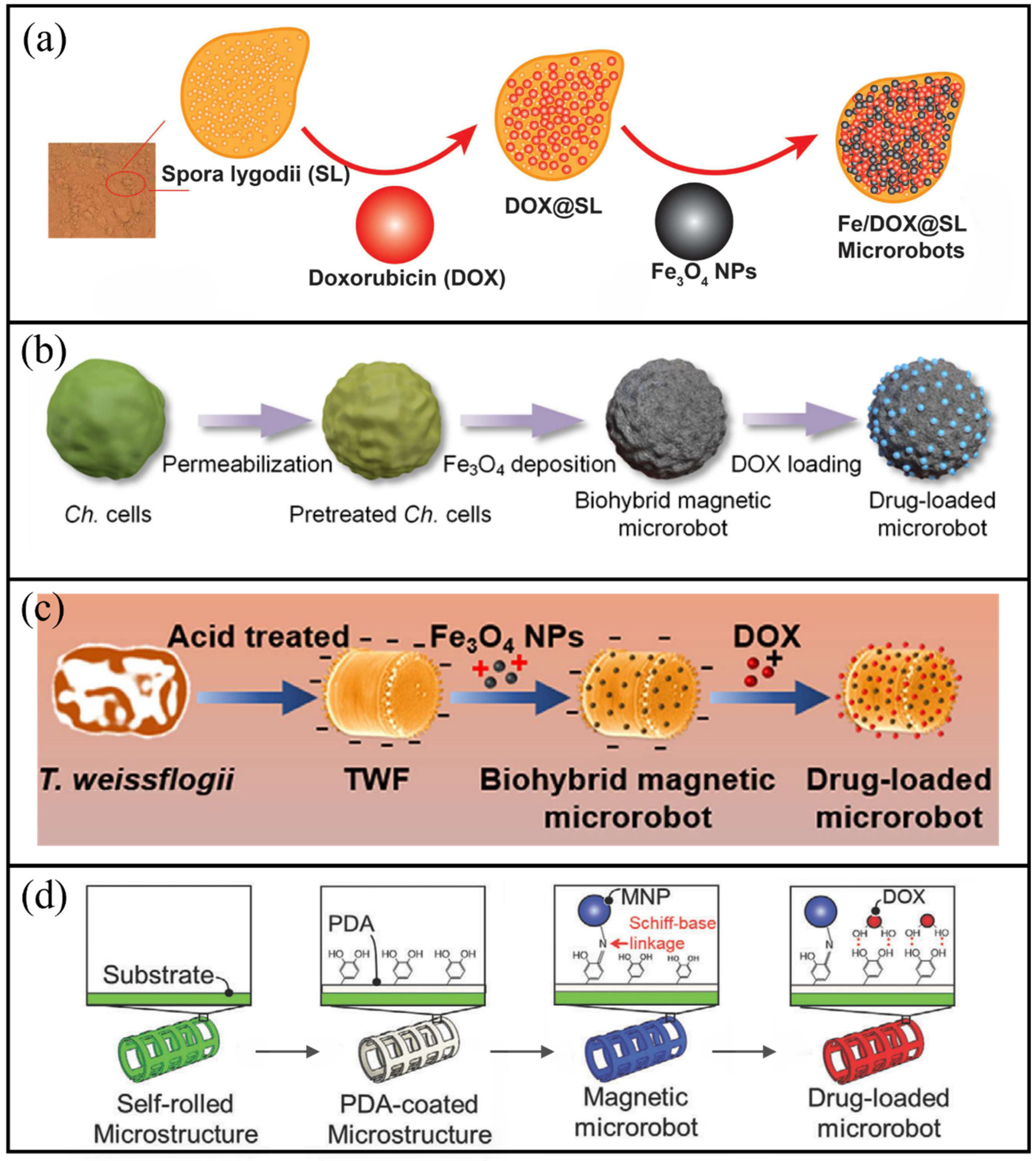 Molecules 31 00086 g005
