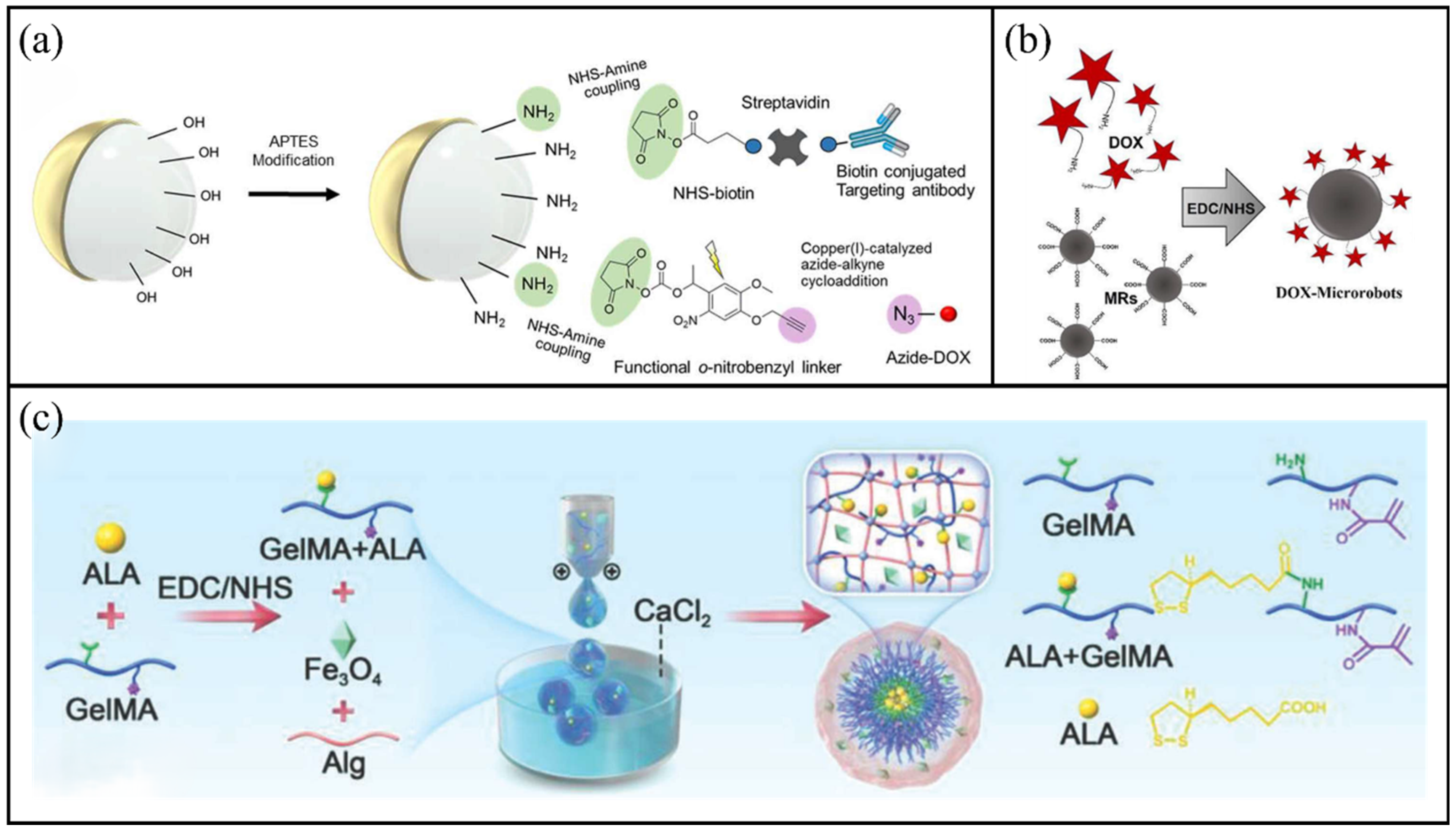 Molecules 31 00086 g006
