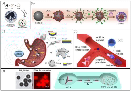 Molecules 31 00086 g007