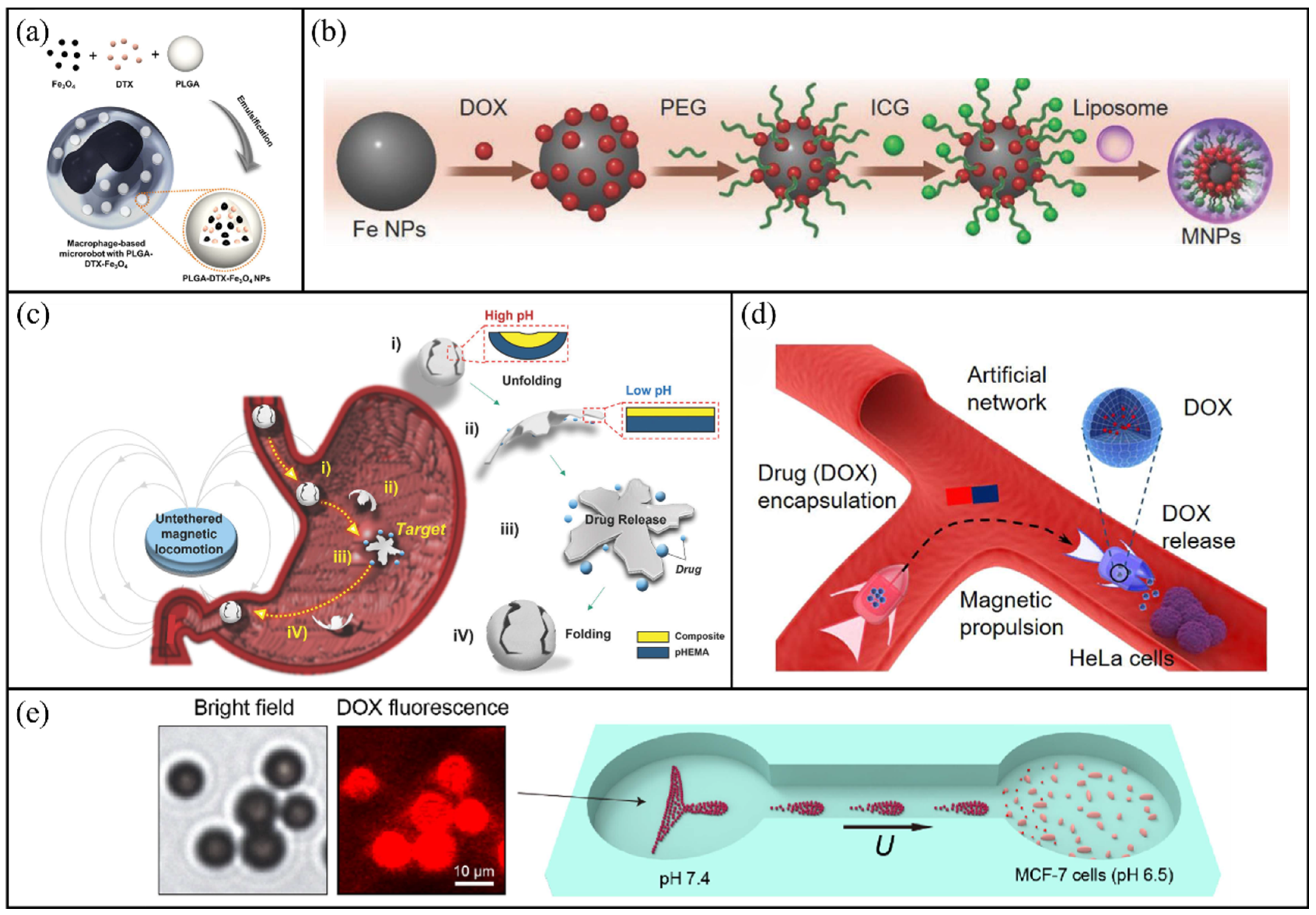 Molecules 31 00086 g007