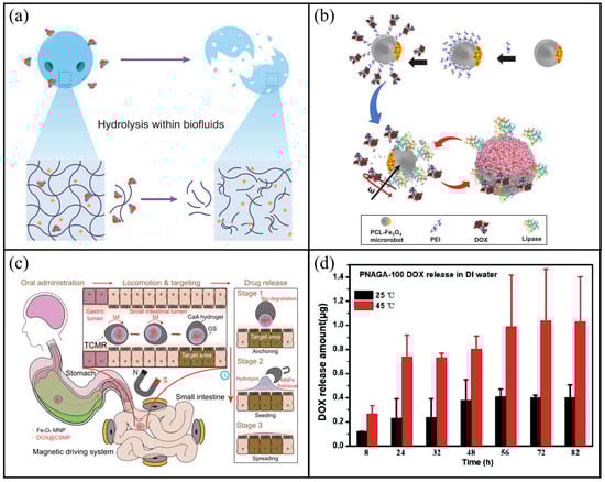 Molecules 31 00086 g008