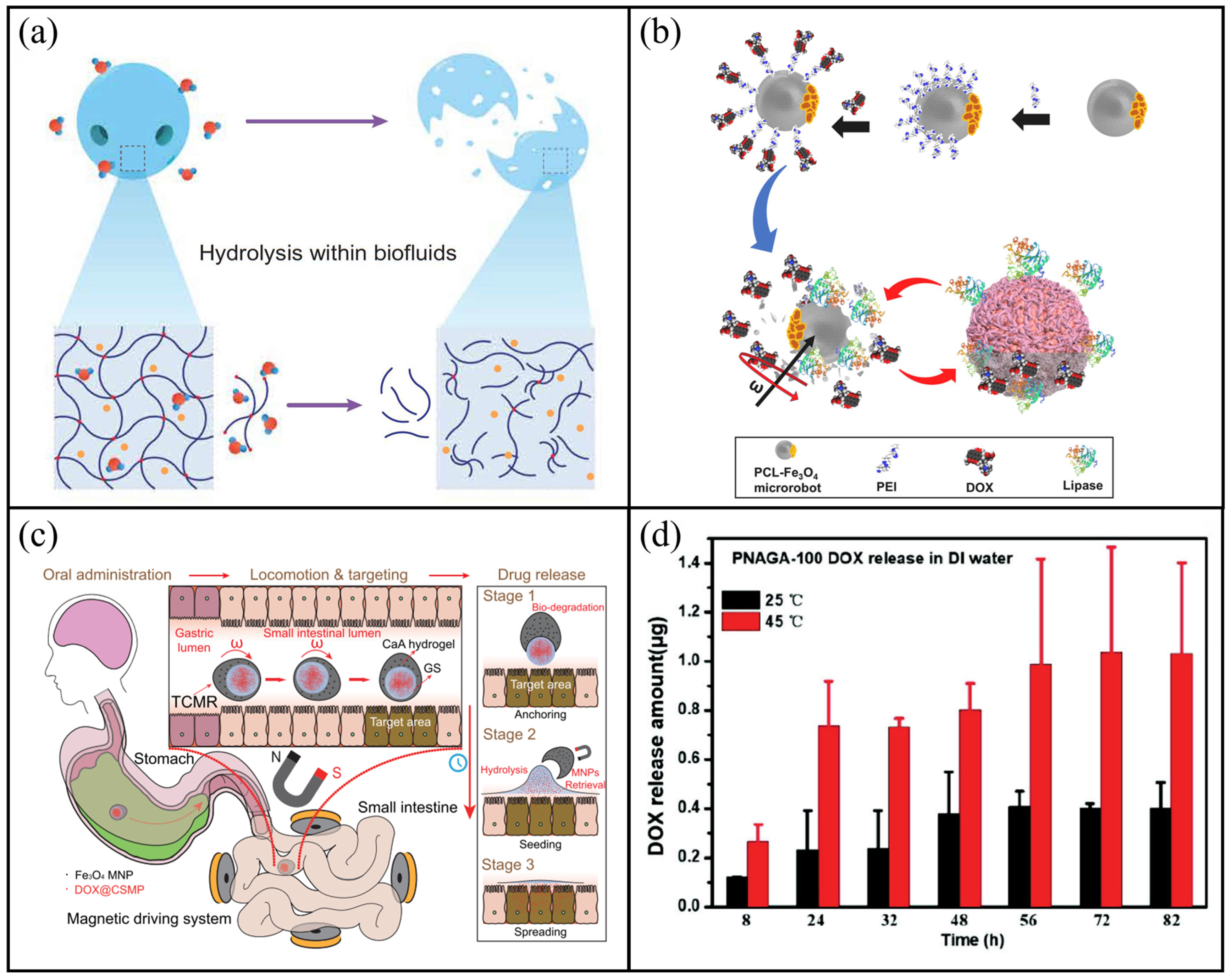 Molecules 31 00086 g008