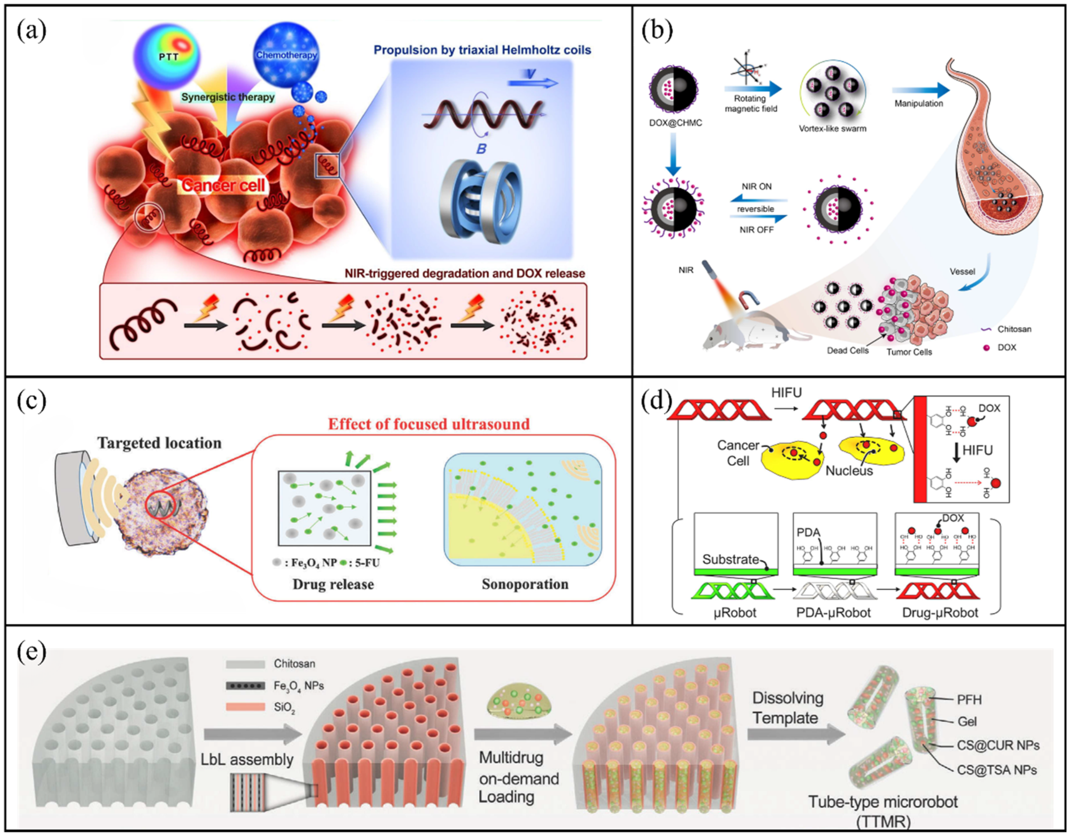 Molecules 31 00086 g009
