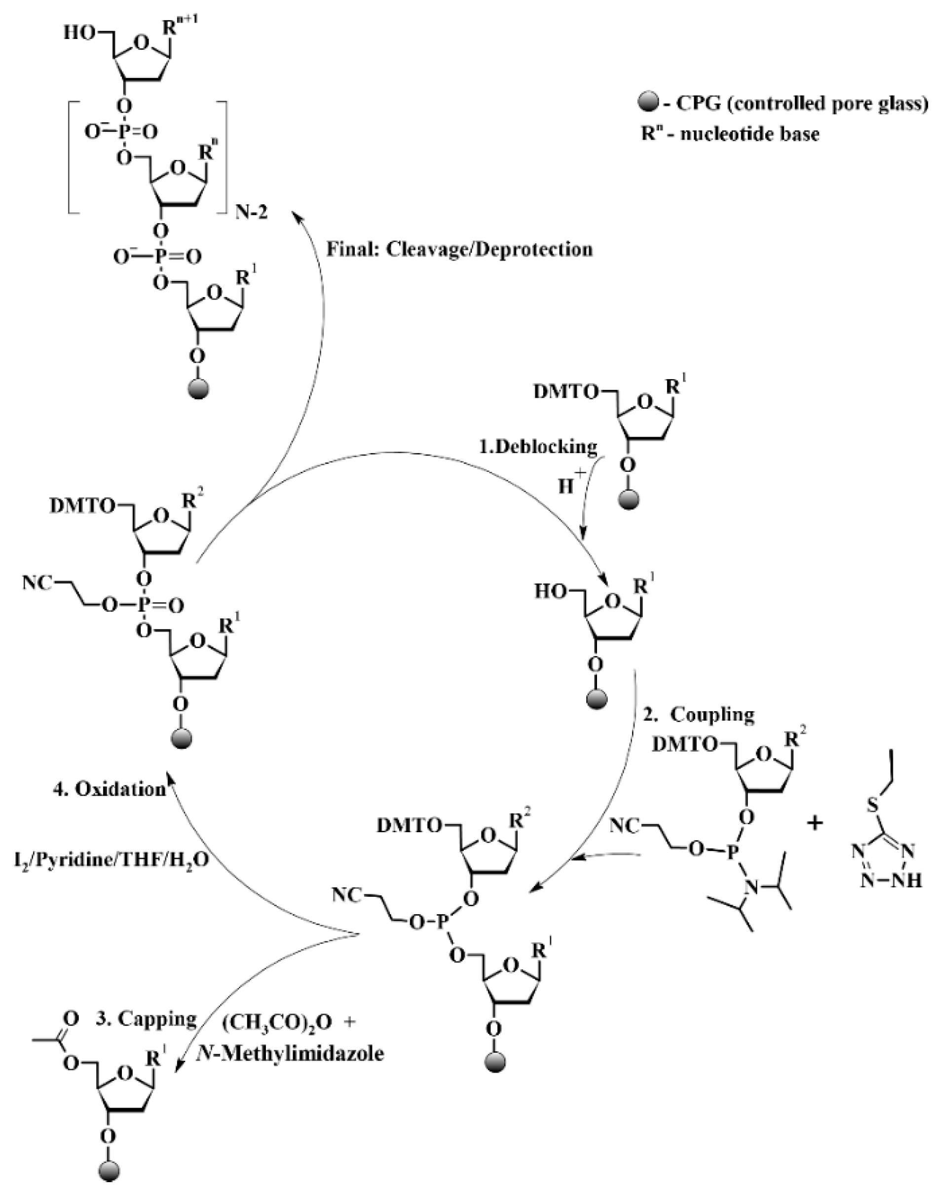 Molecules 31 00094 sch001 Molecules 31 00094 sch001