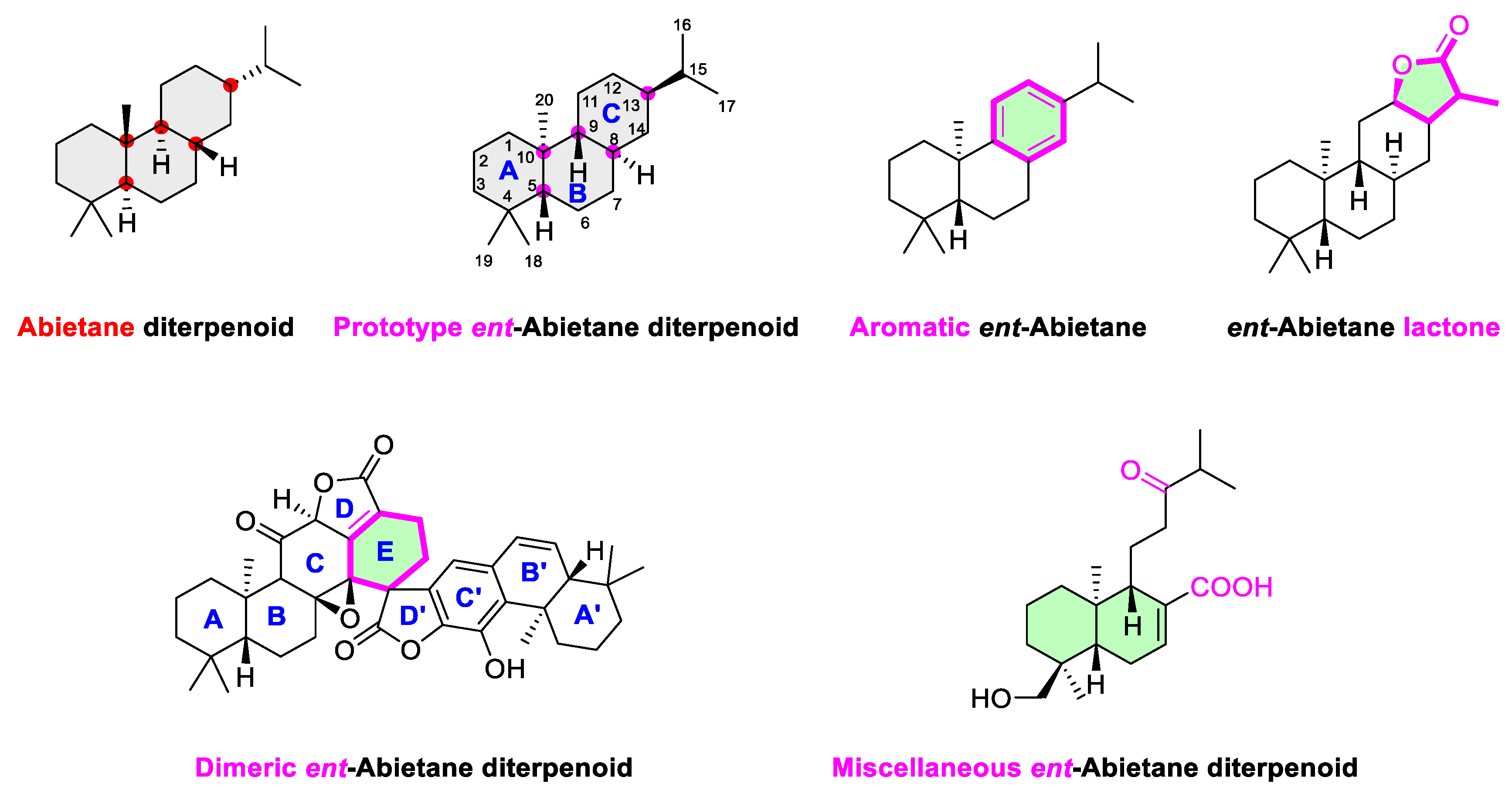 Molecules 31 00098 g002