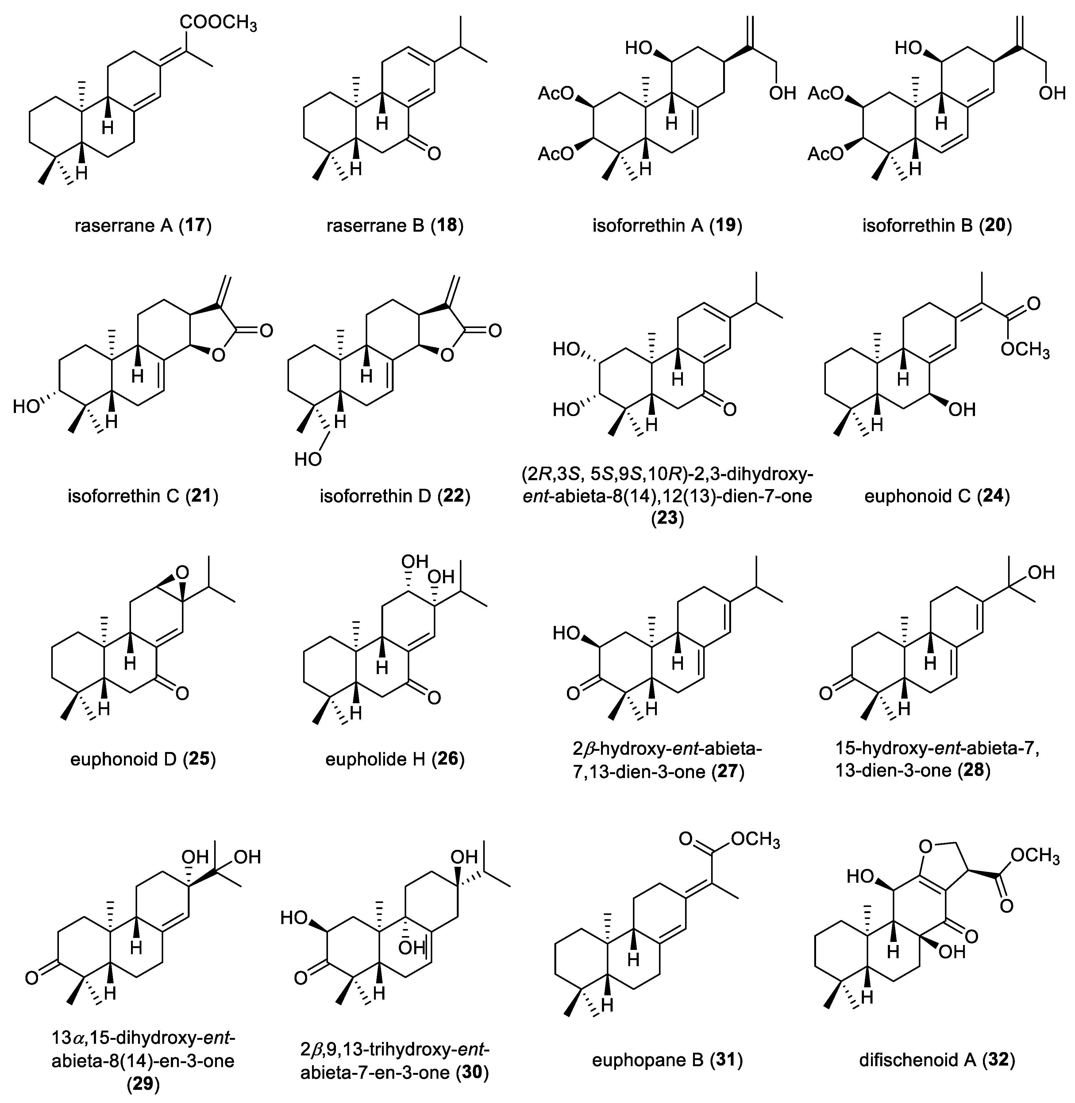 Molecules 31 00098 g004