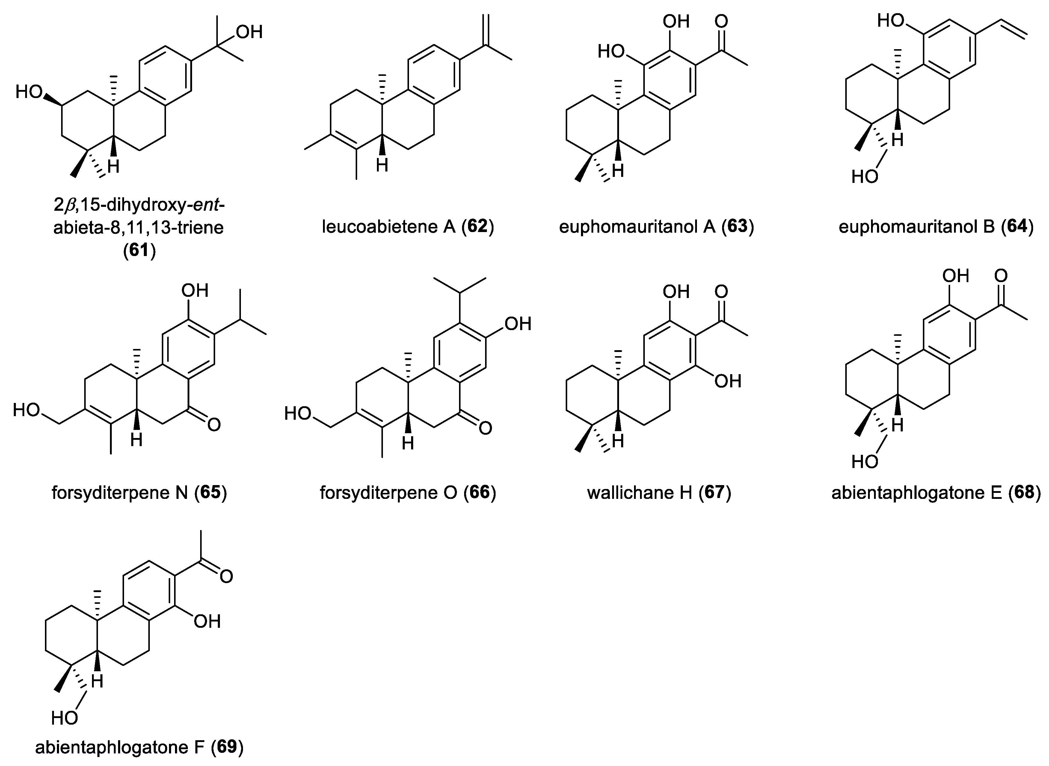 Molecules 31 00098 g007