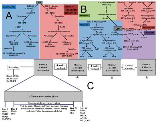 Molecules 31 00103 g001