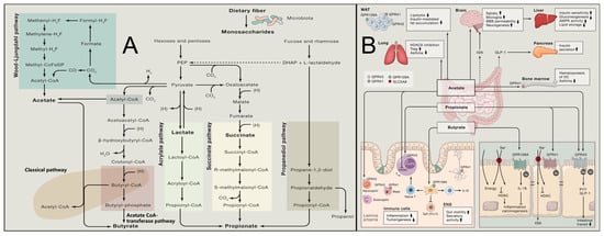 Molecules 31 00103 g002
