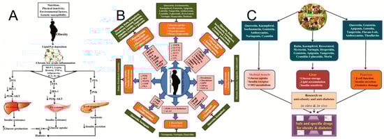 Molecules 31 00103 g003