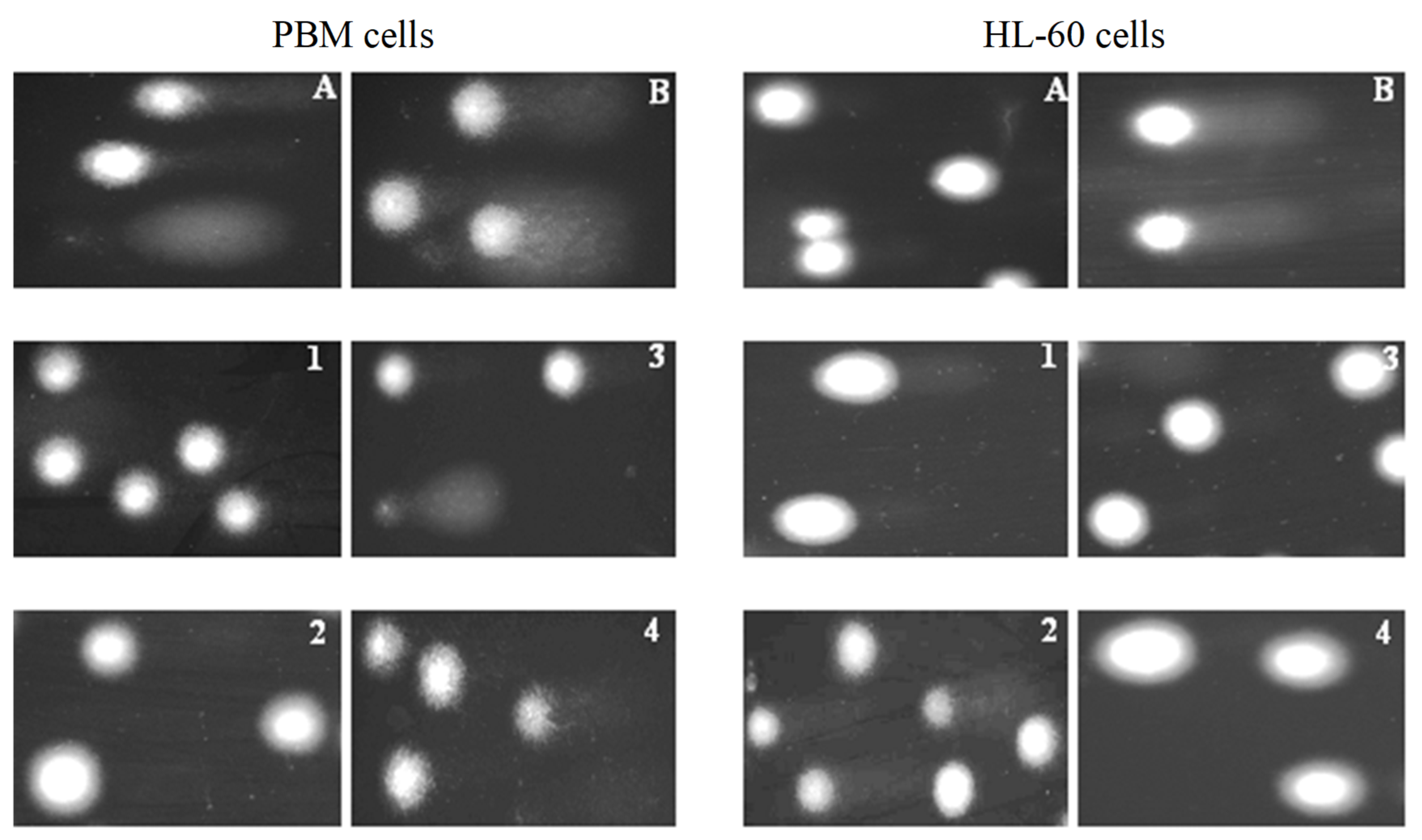 Molecules 31 00121 g004