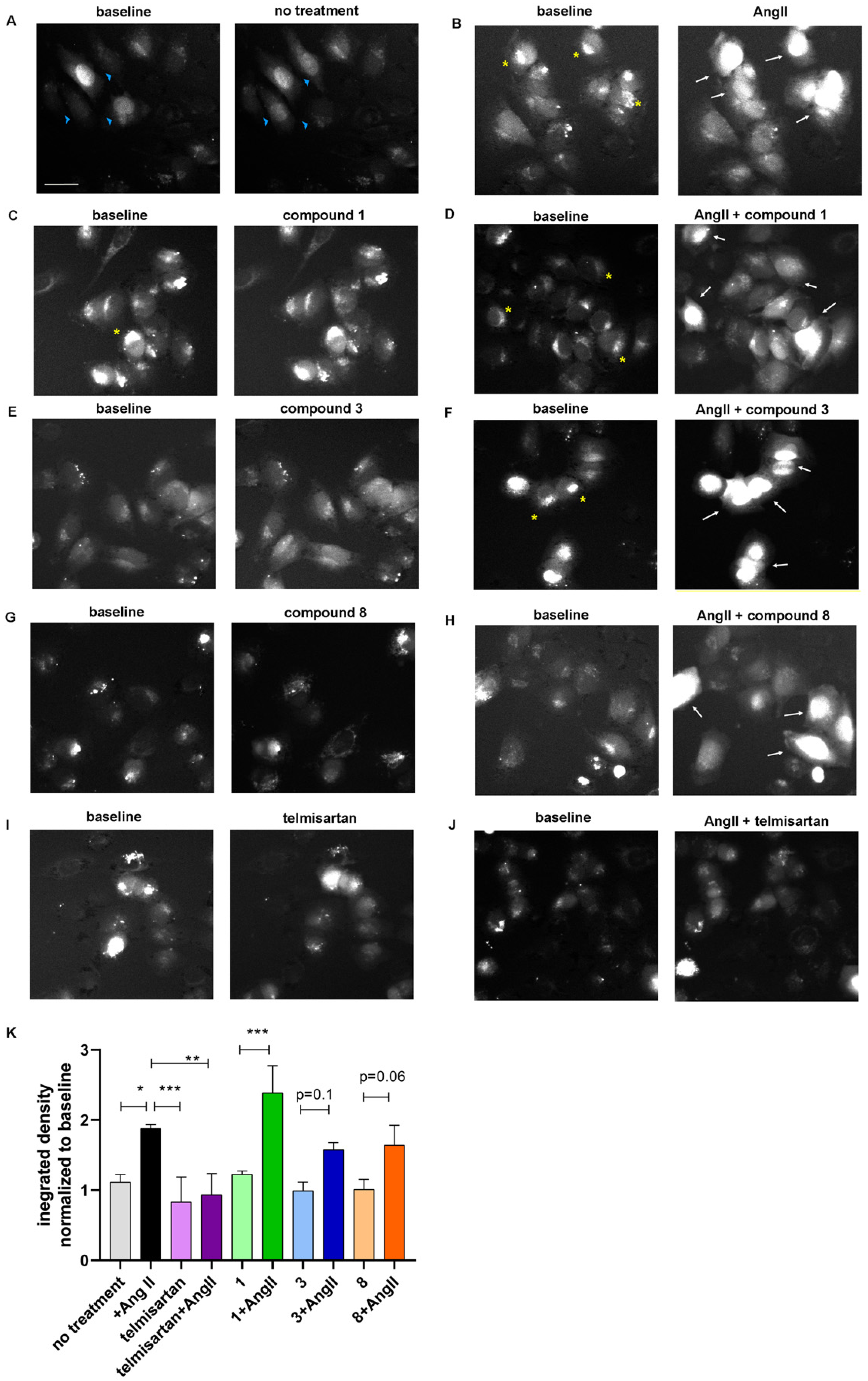 Molecules 31 00125 g003 Molecules 31 00125 g003