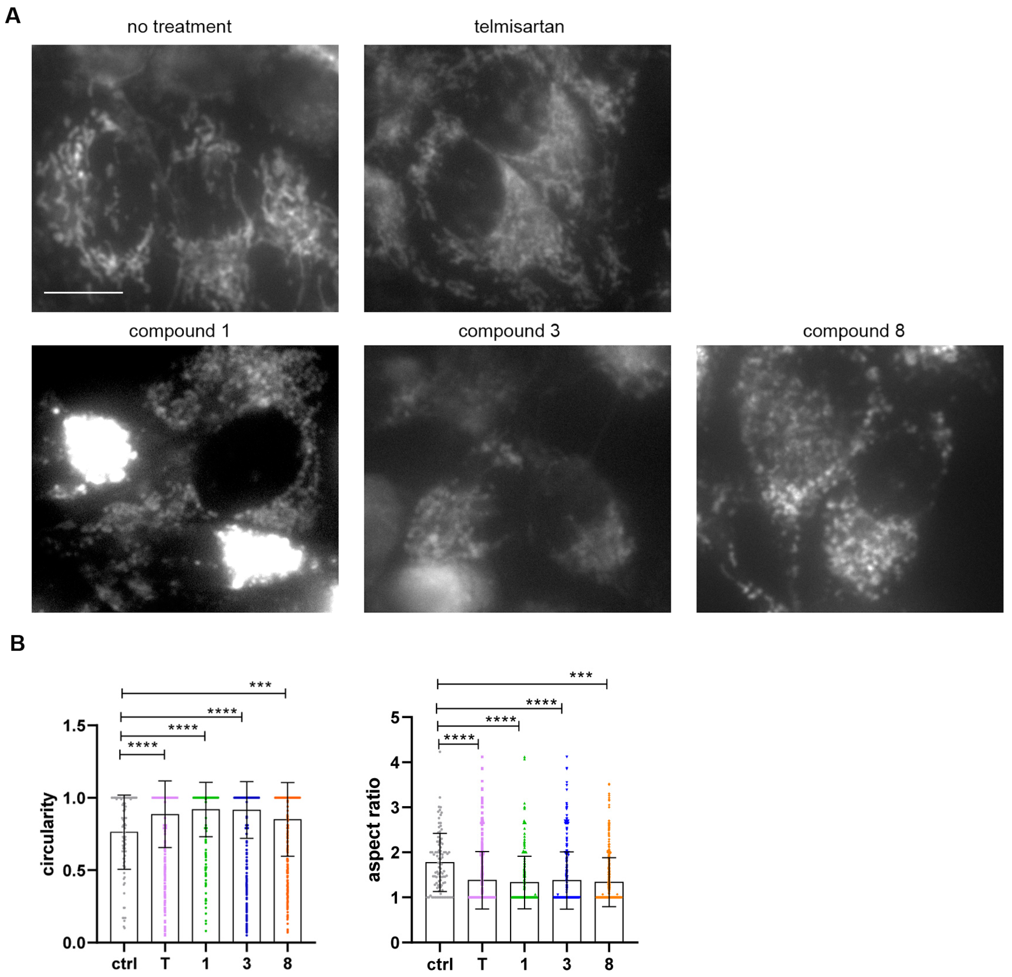 Molecules 31 00125 g005 Molecules 31 00125 g005