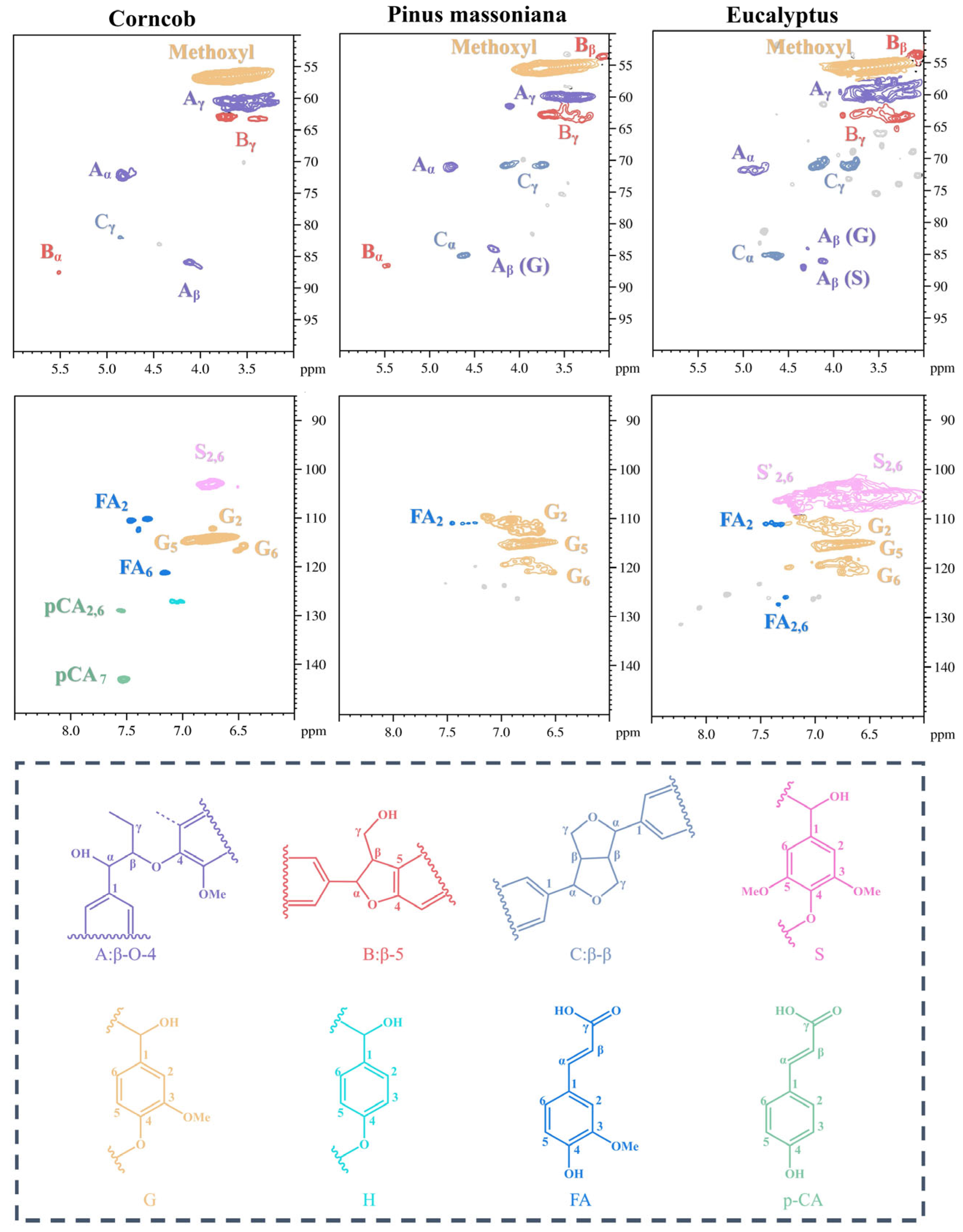 Molecules 31 00133 g001