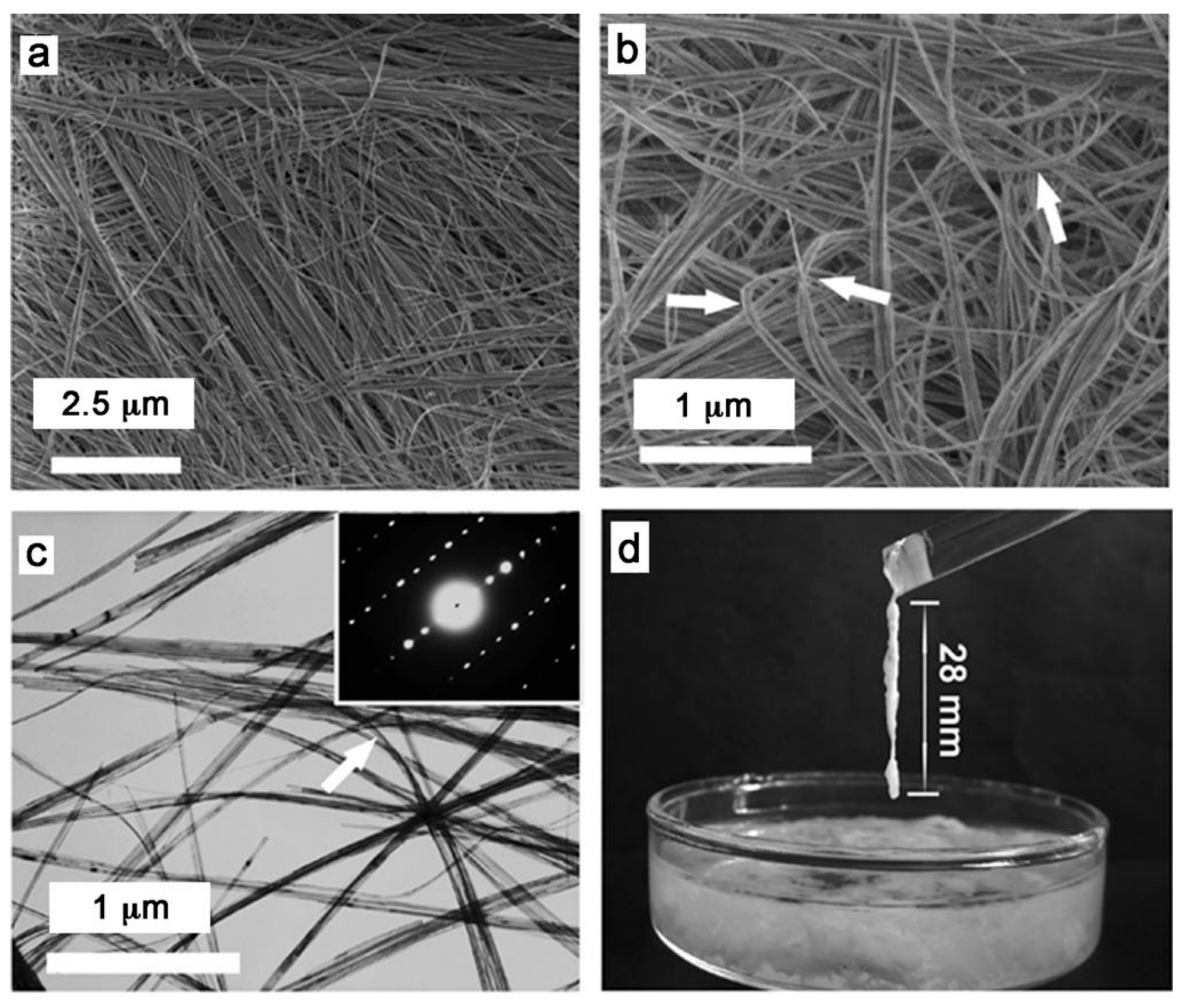 Molecules 31 00142 g001