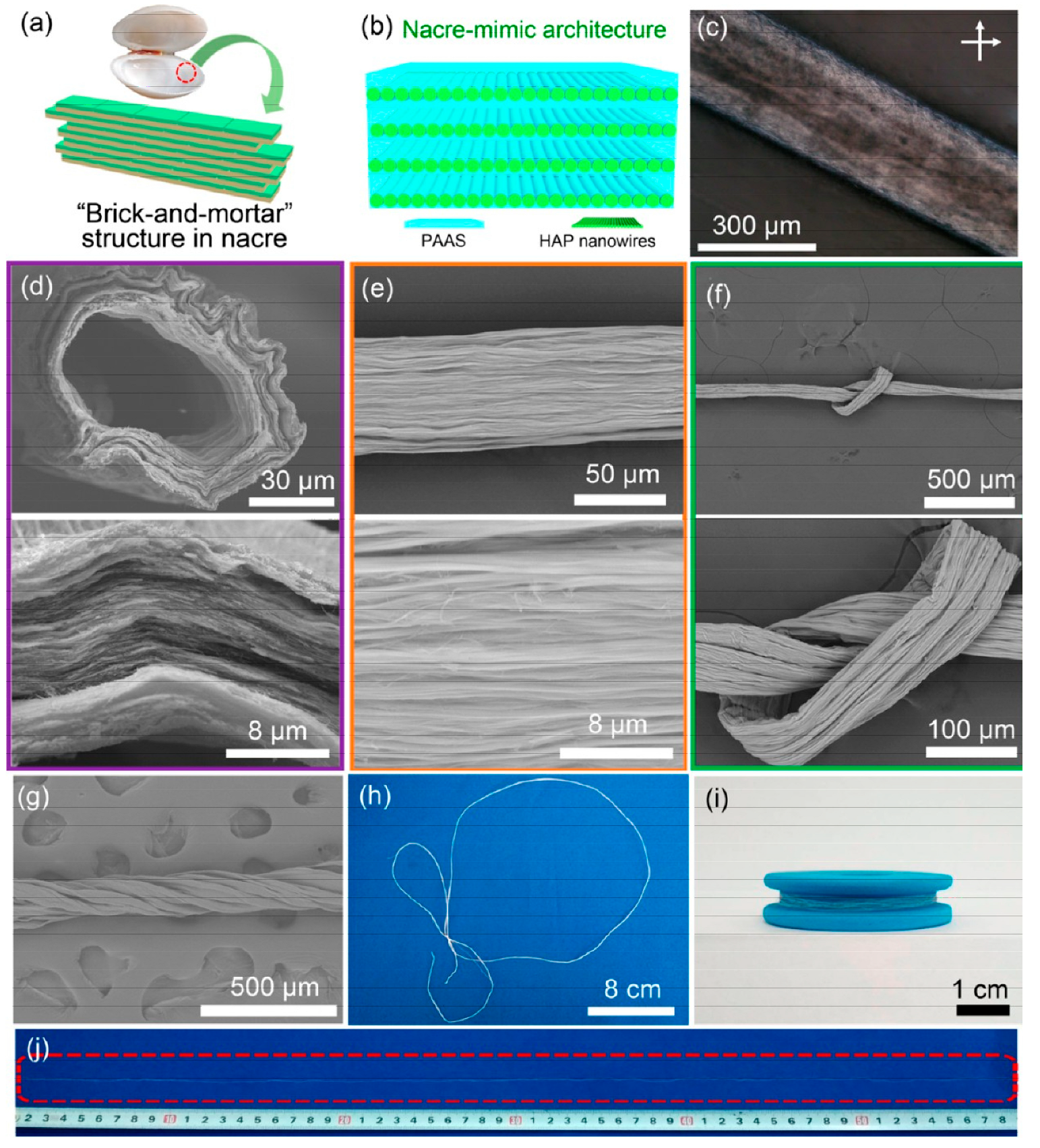 Molecules 31 00142 g002