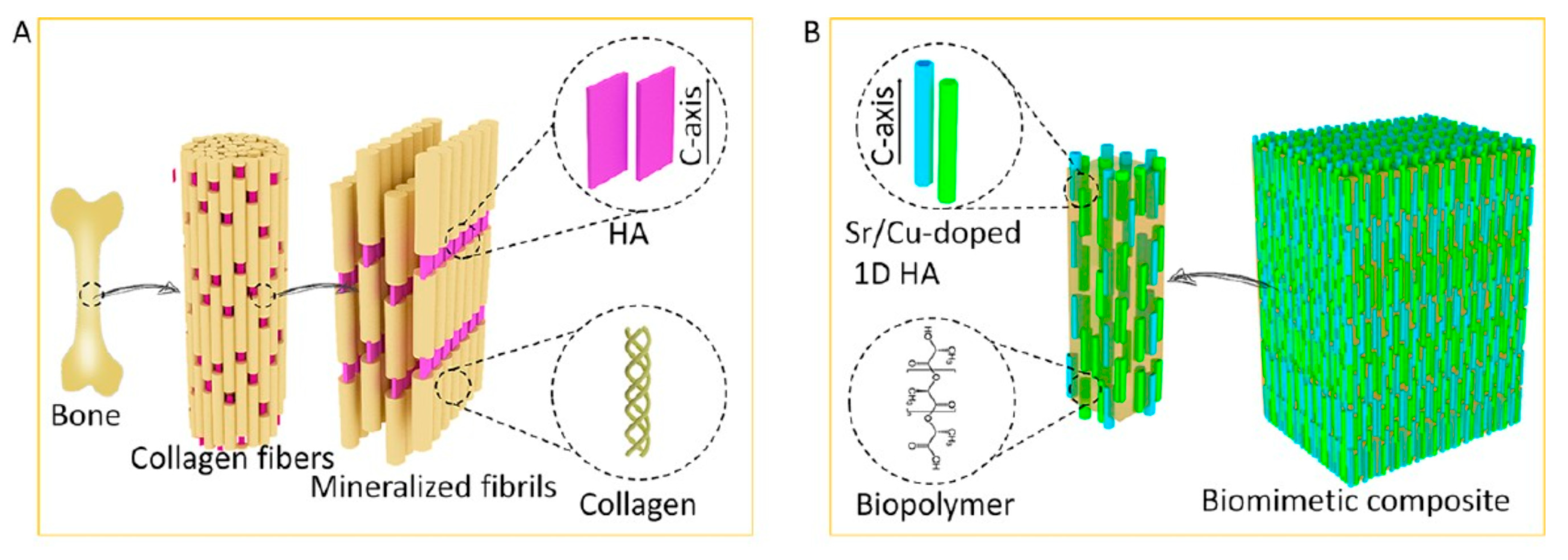Molecules 31 00142 g003