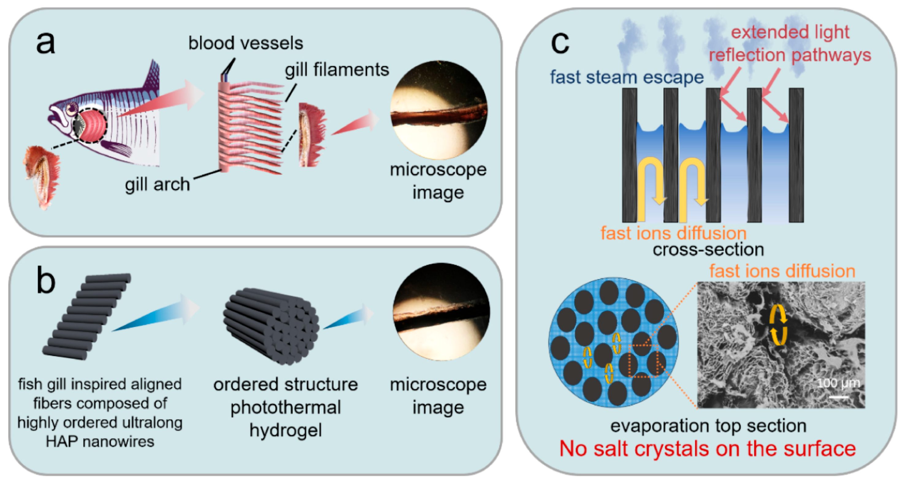 Molecules 31 00142 g005