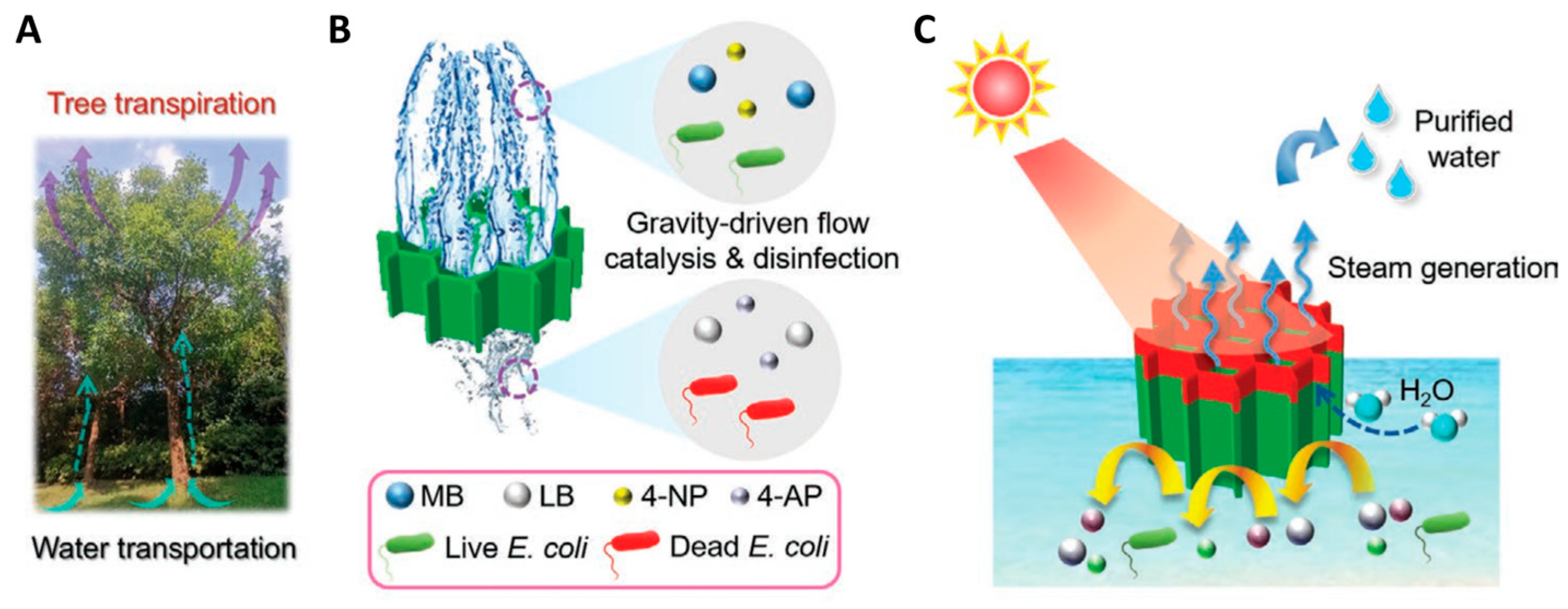 Molecules 31 00142 g006