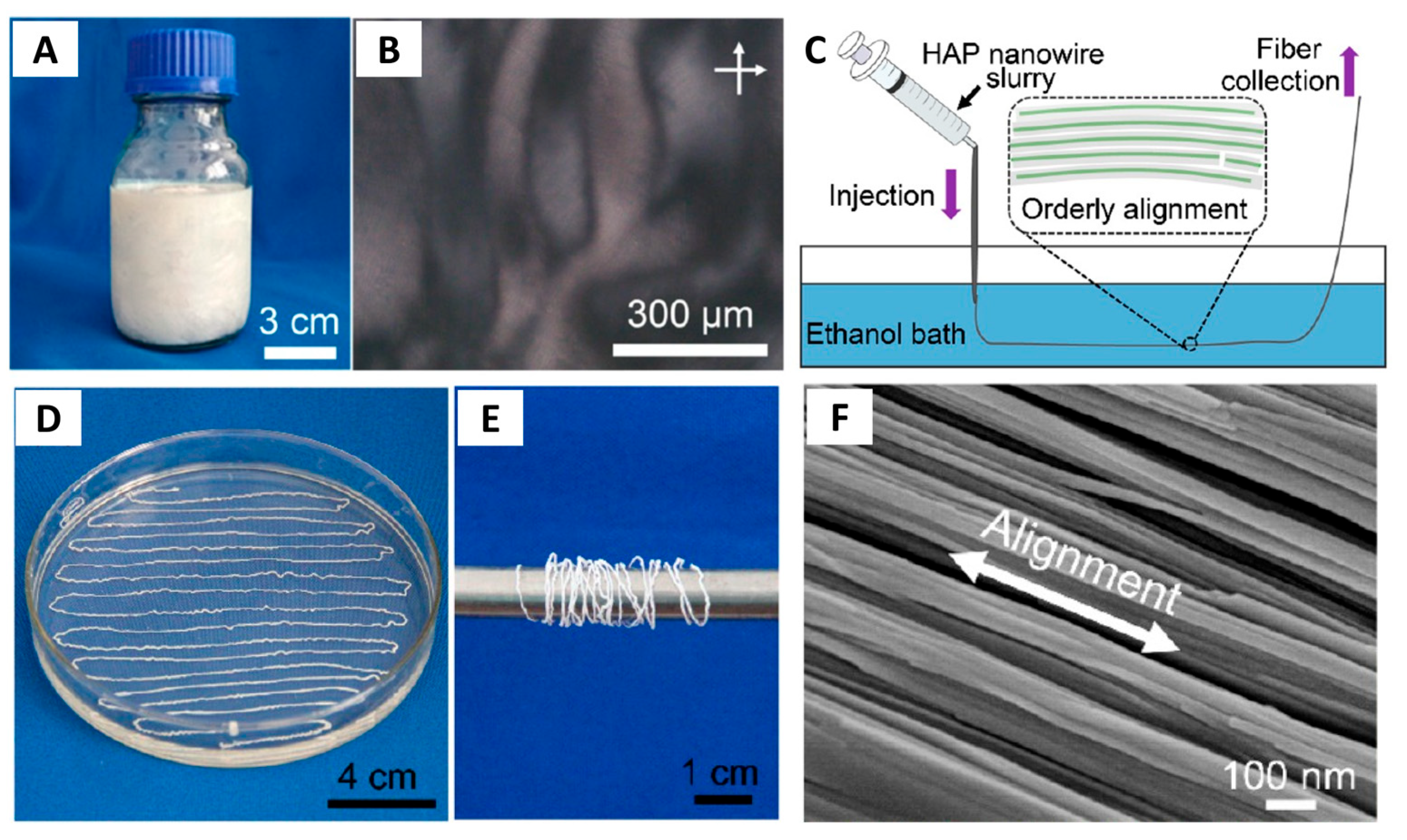 Molecules 31 00142 g007