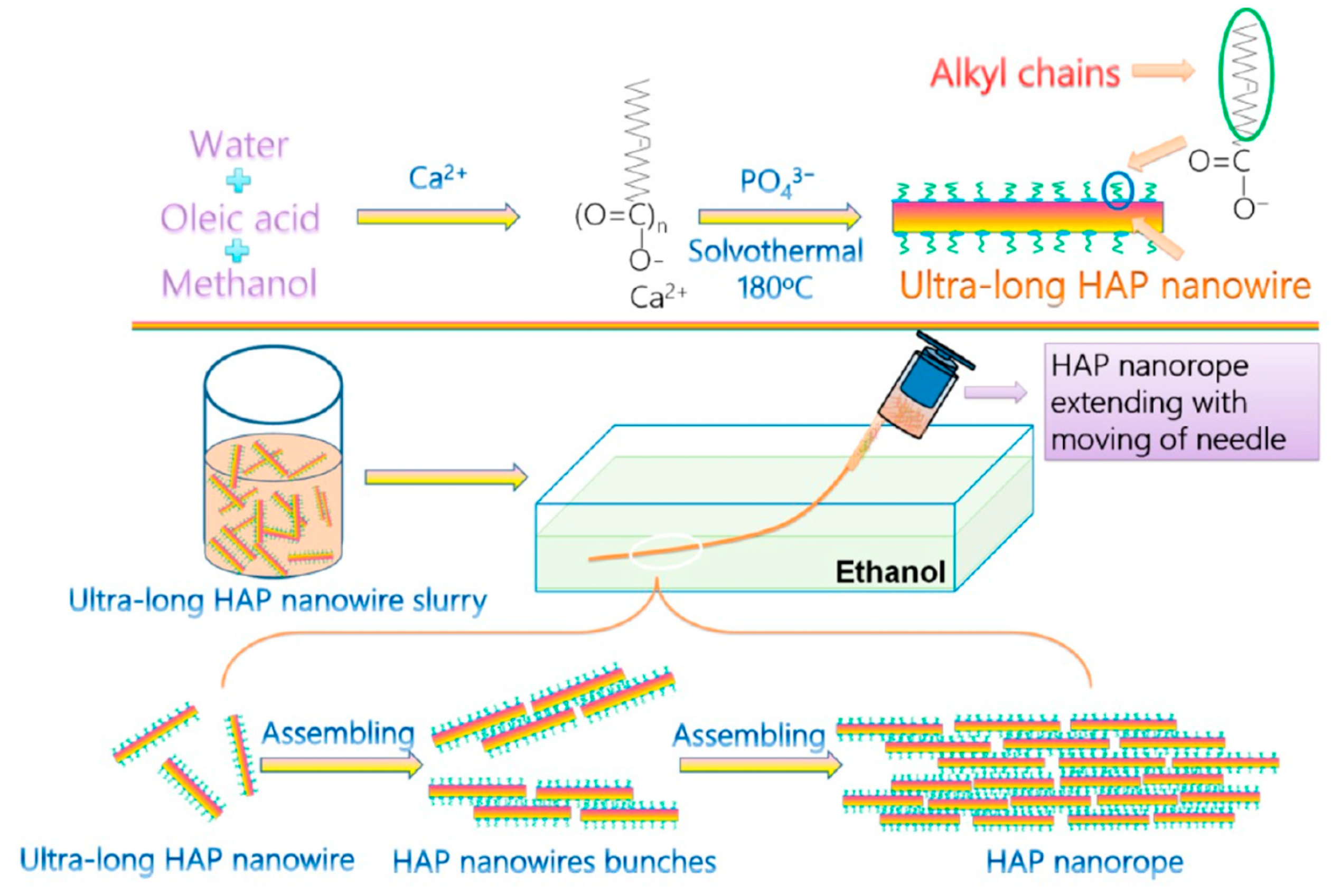 Molecules 31 00142 g008
