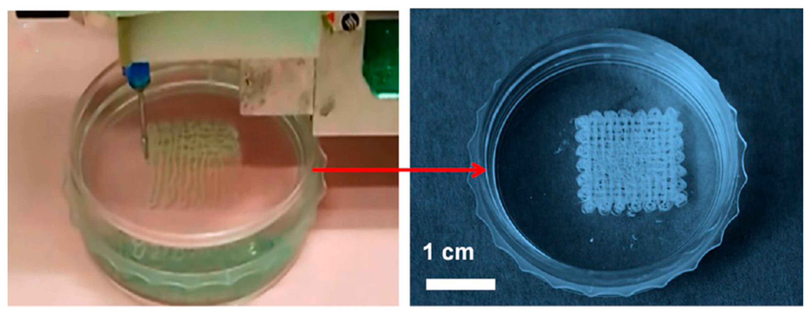 Molecules 31 00142 g009