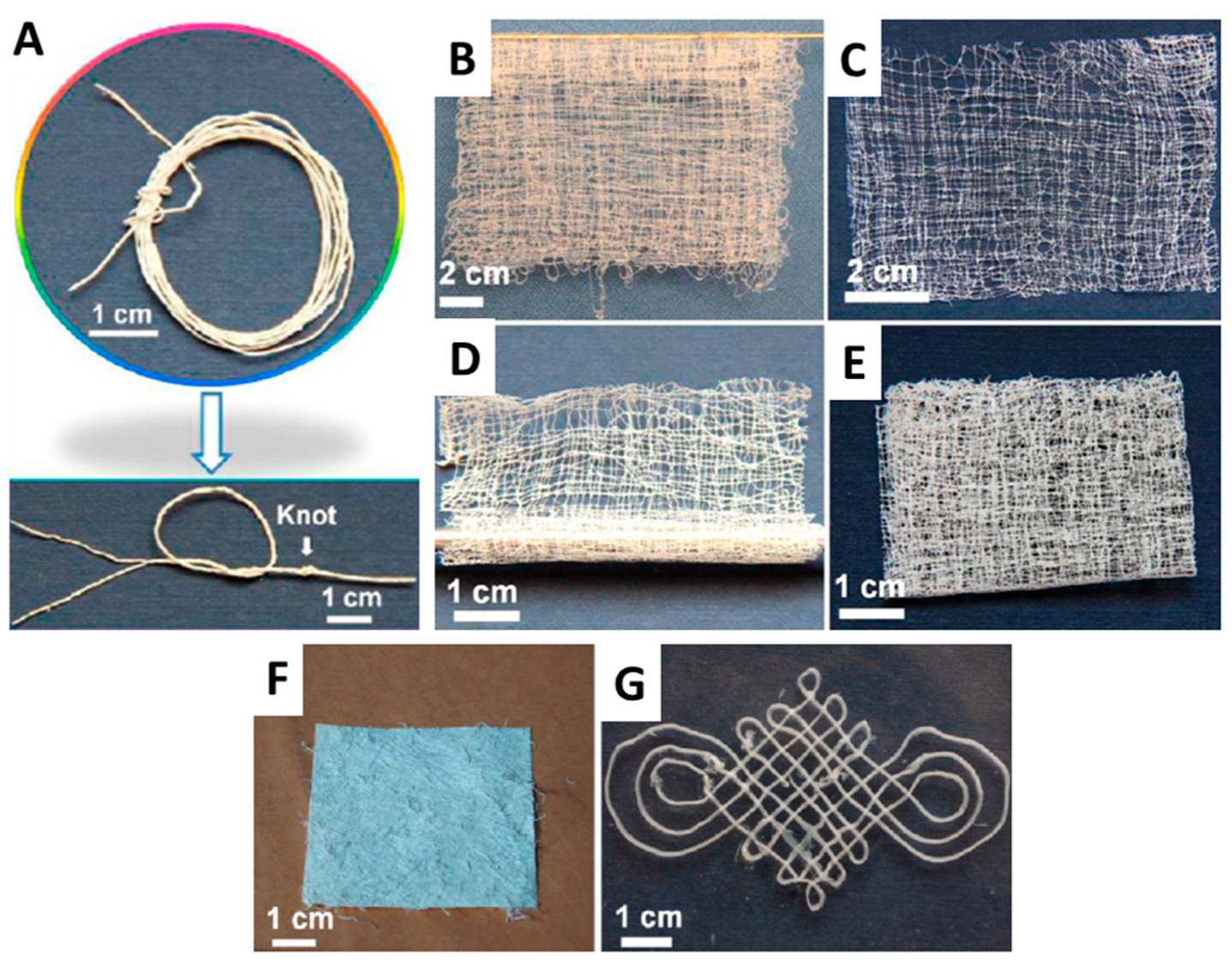 Molecules 31 00142 g011