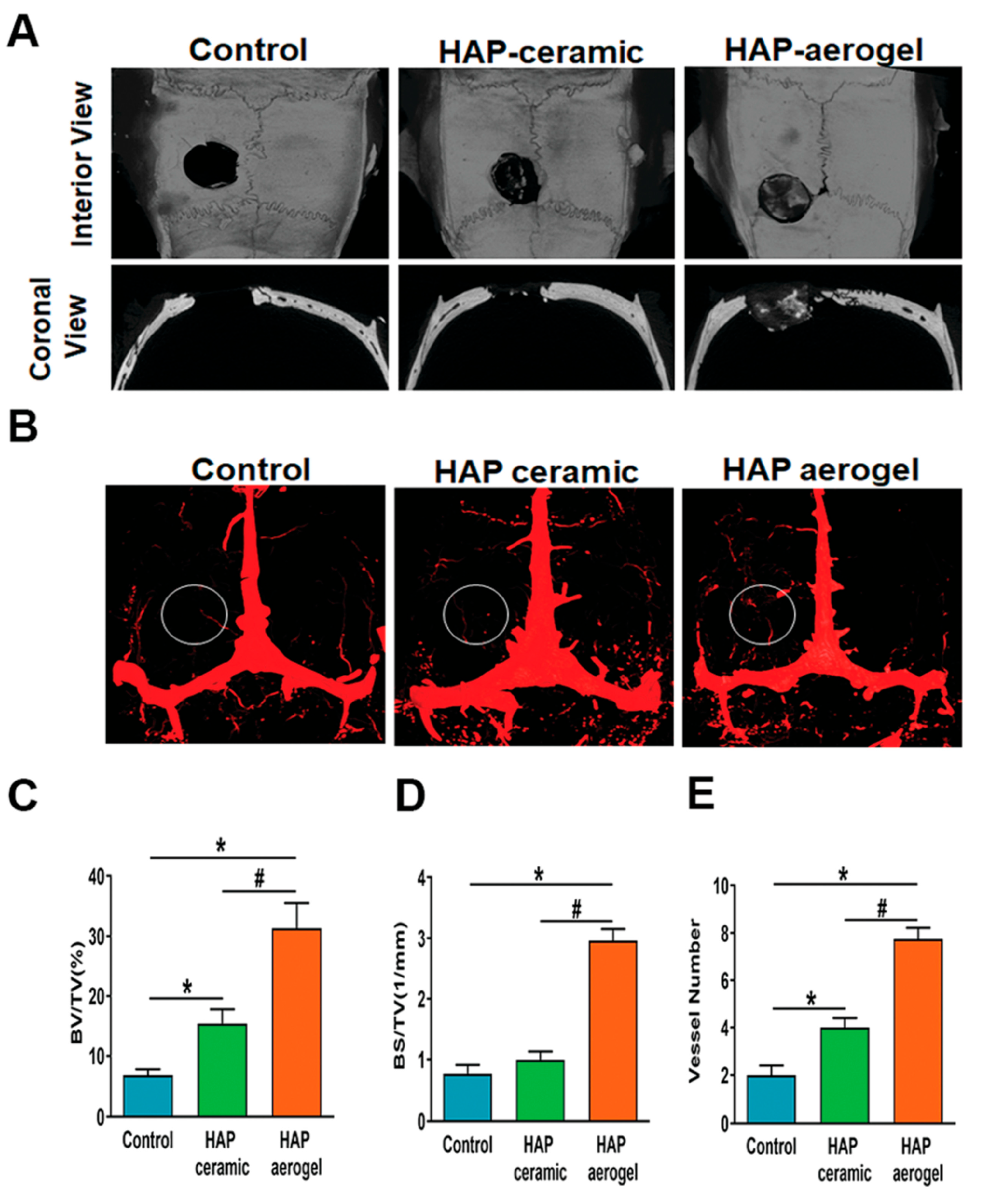 Molecules 31 00142 g012