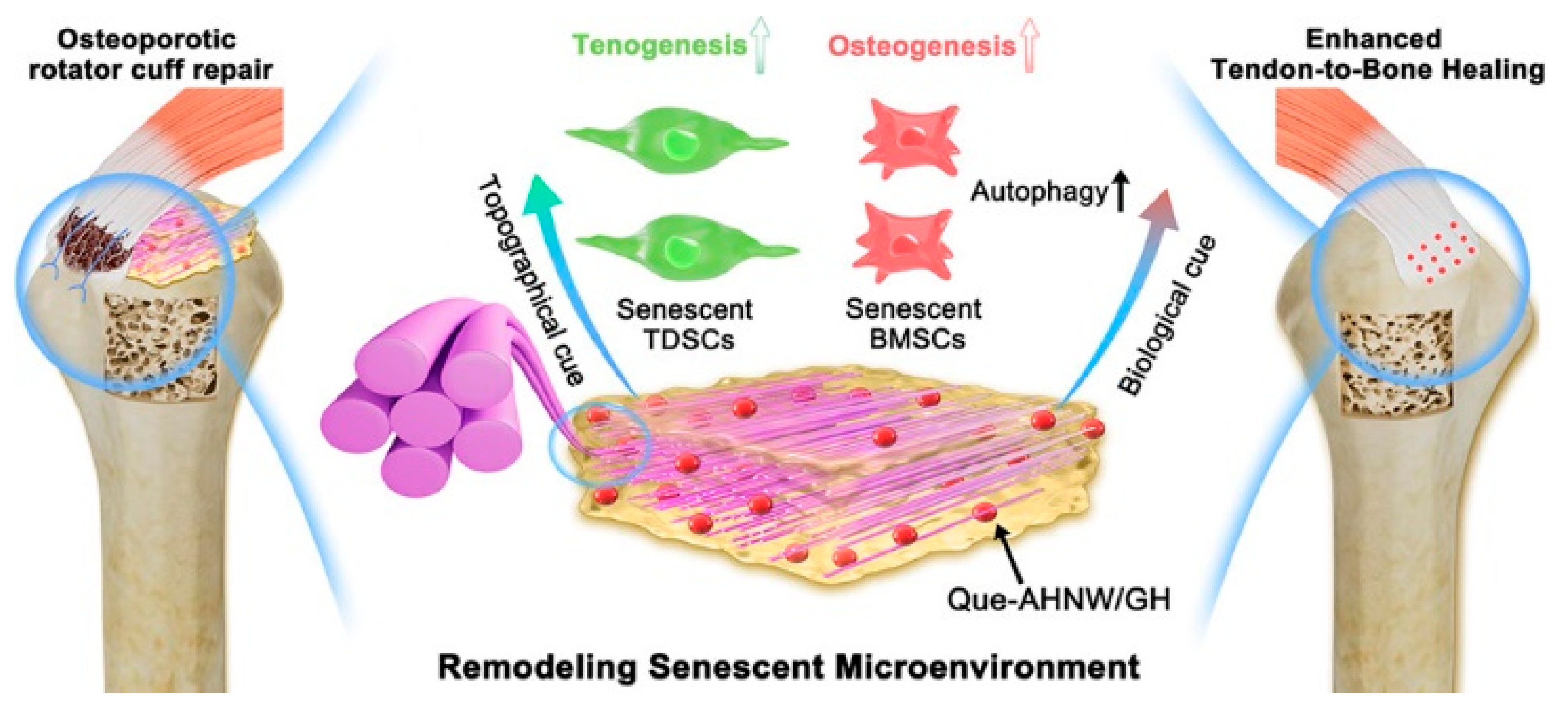 Molecules 31 00142 g013