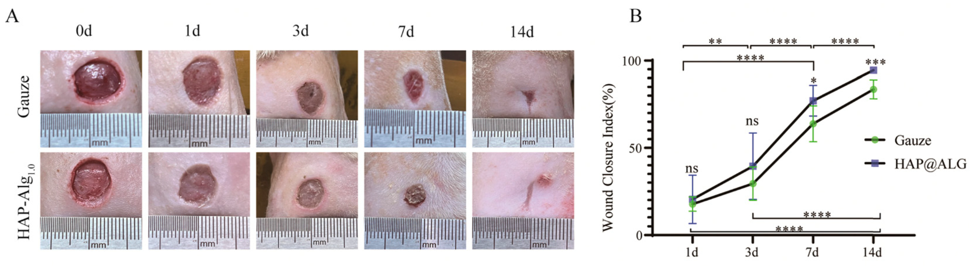 Molecules 31 00142 g014