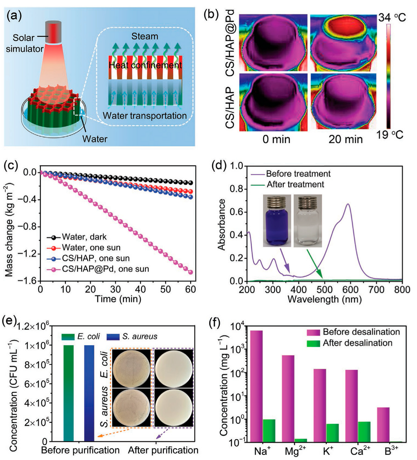 Molecules 31 00142 g015