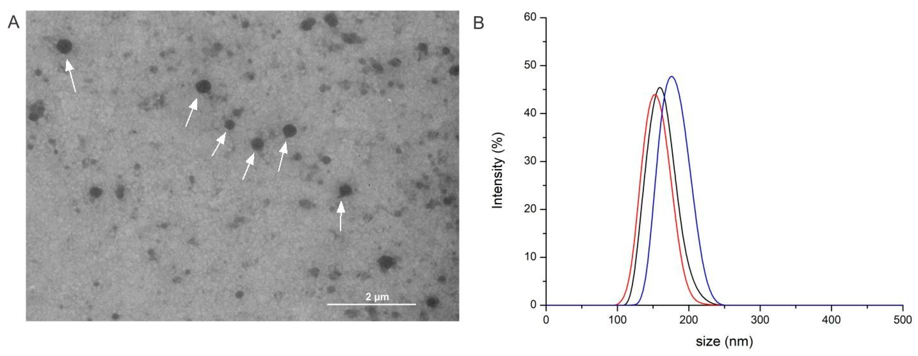 Molecules 31 00146 g006