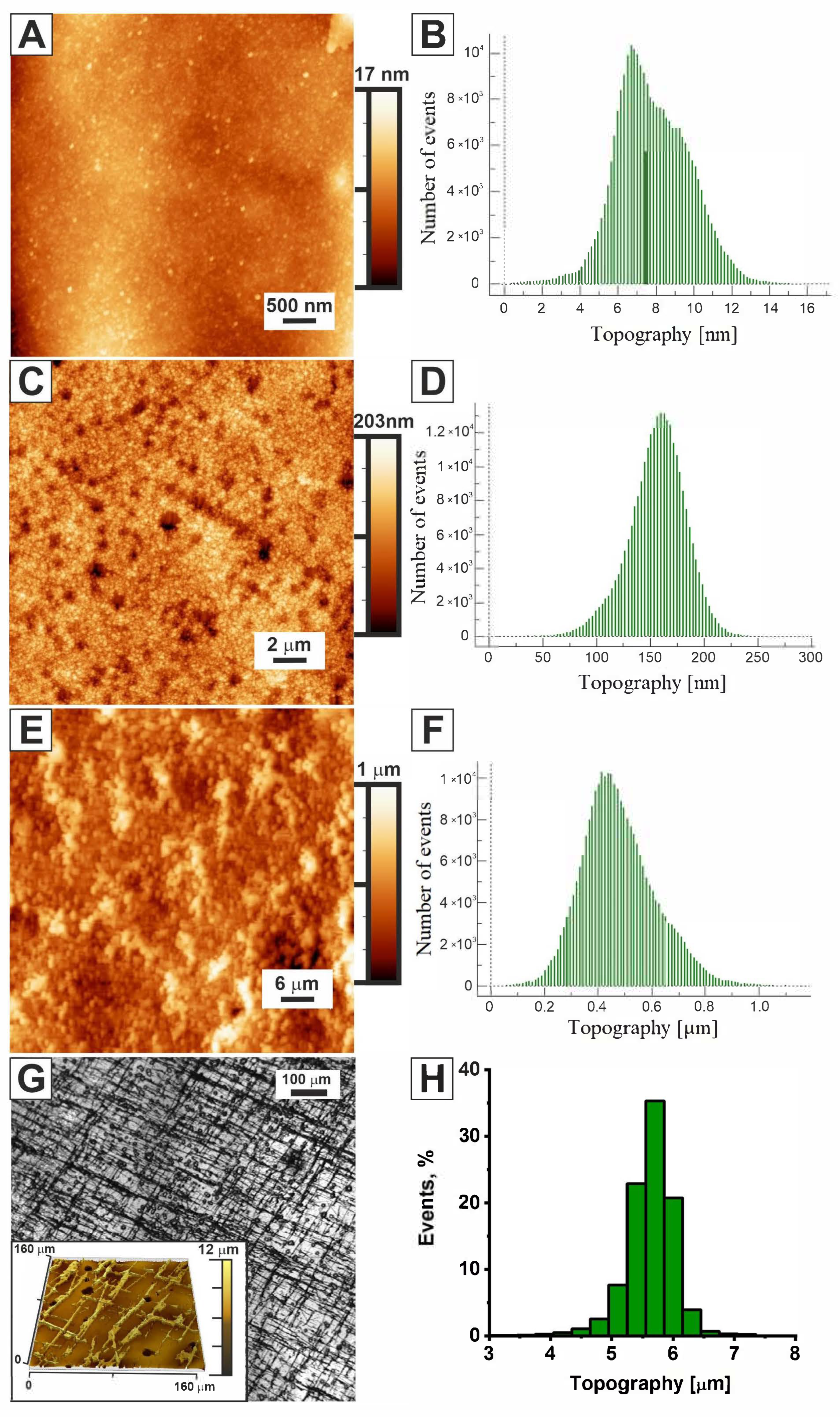 Molecules 31 00150 g001 Molecules 31 00150 g001