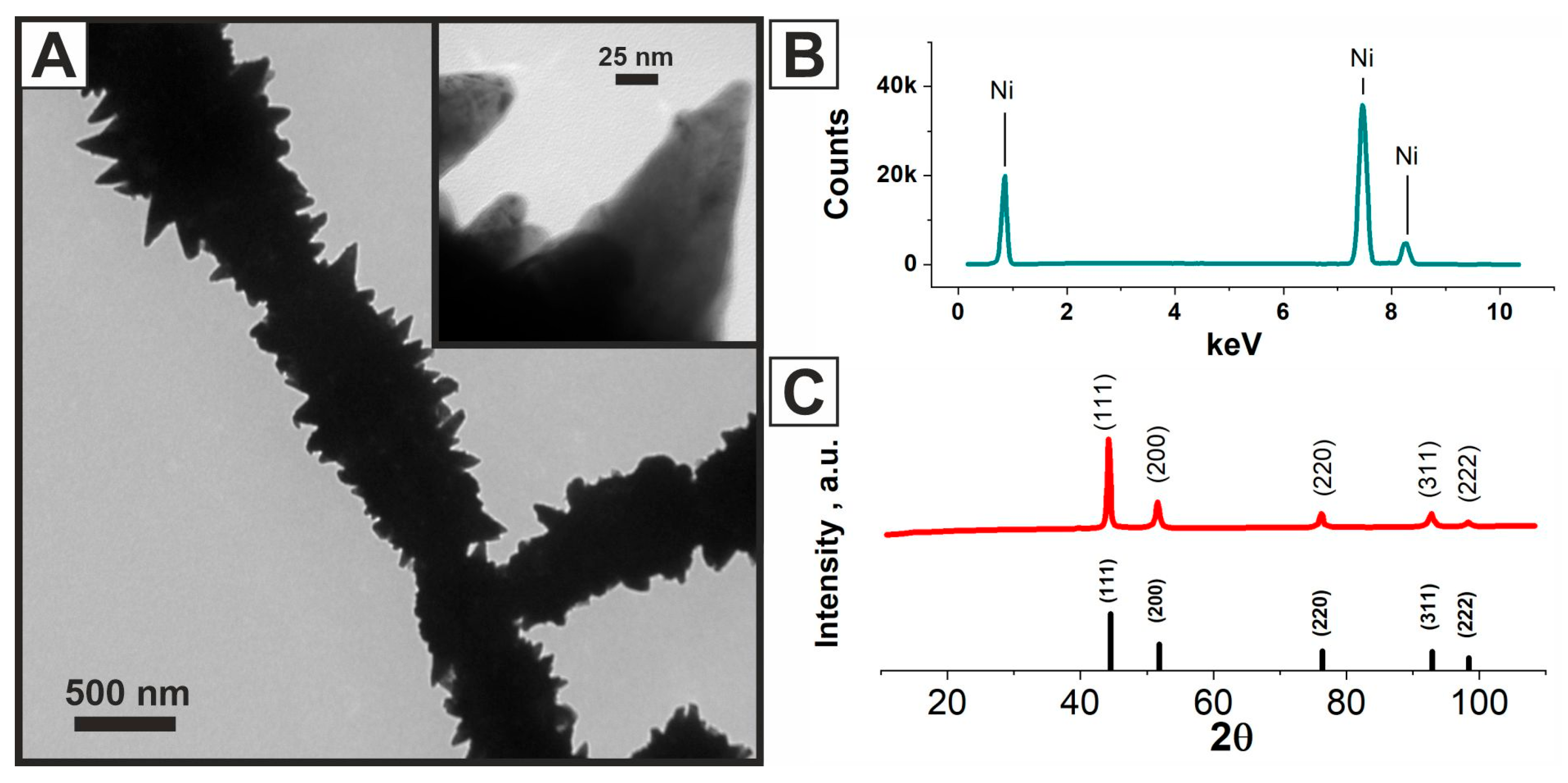 Molecules 31 00150 g002 Molecules 31 00150 g002