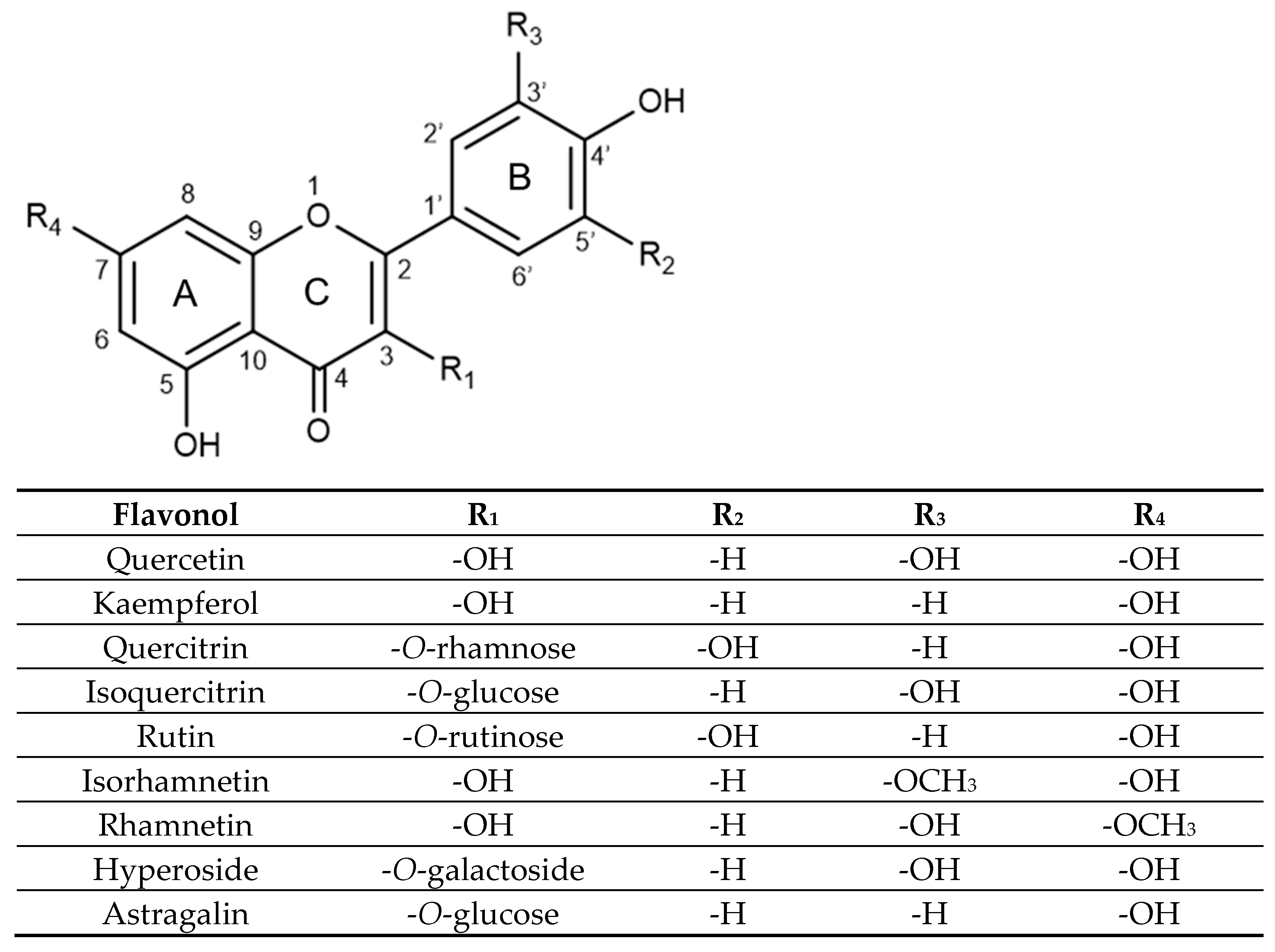 Molecules 31 00154 g001