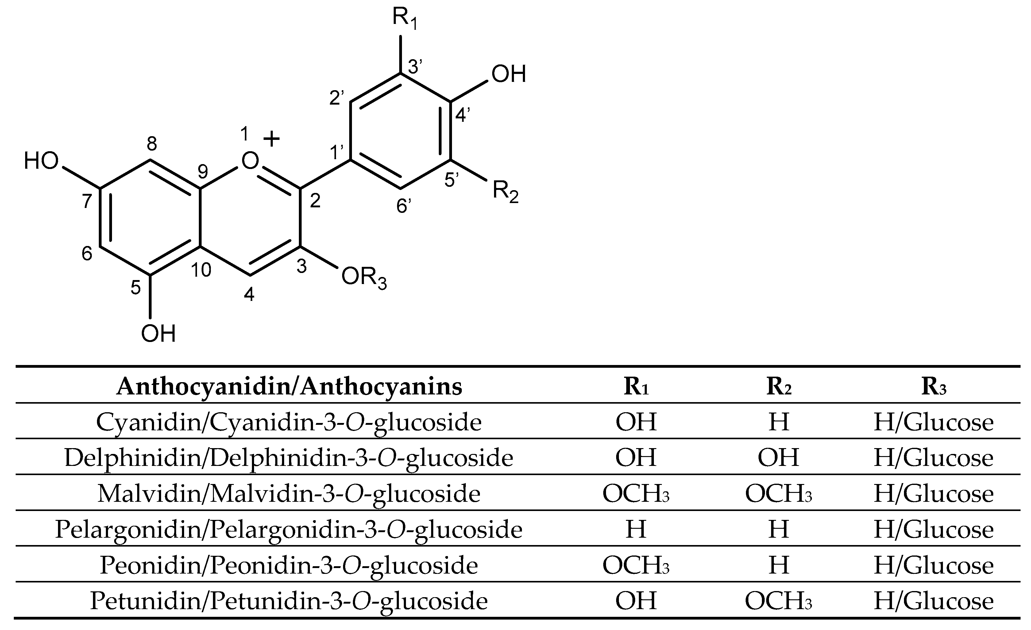 Molecules 31 00154 g004