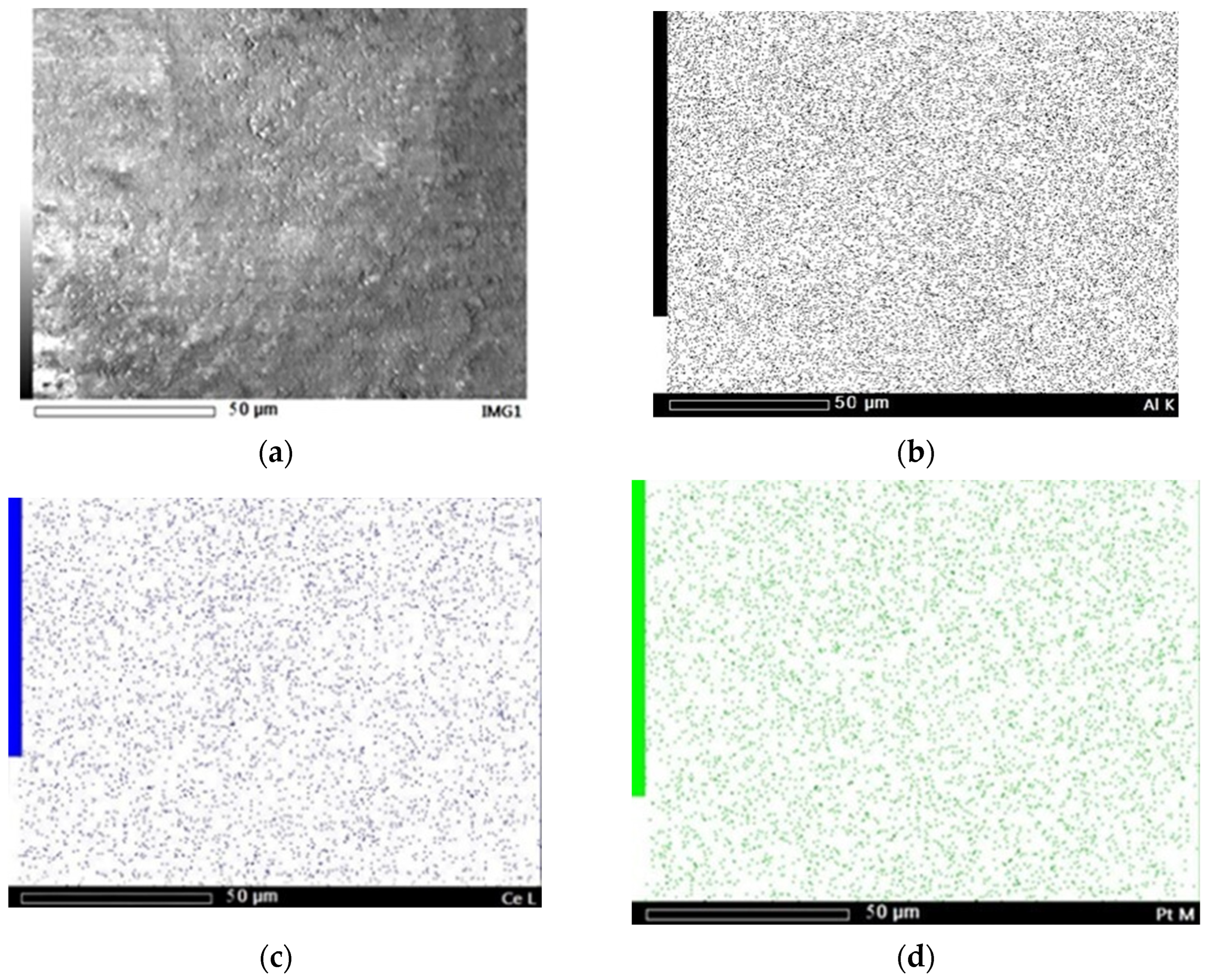 Molecules 31 00156 g003