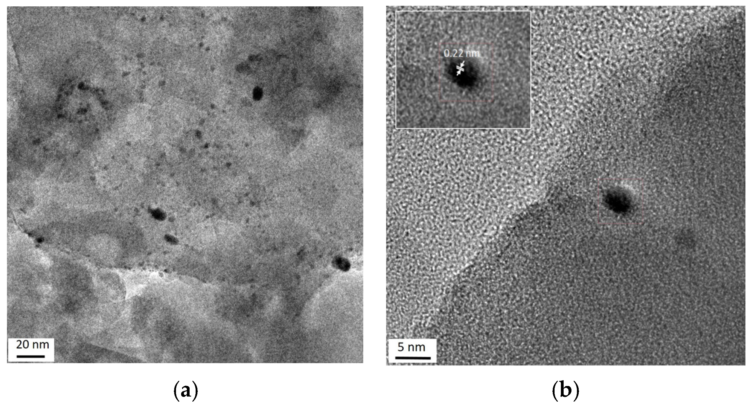Molecules 31 00156 g004a