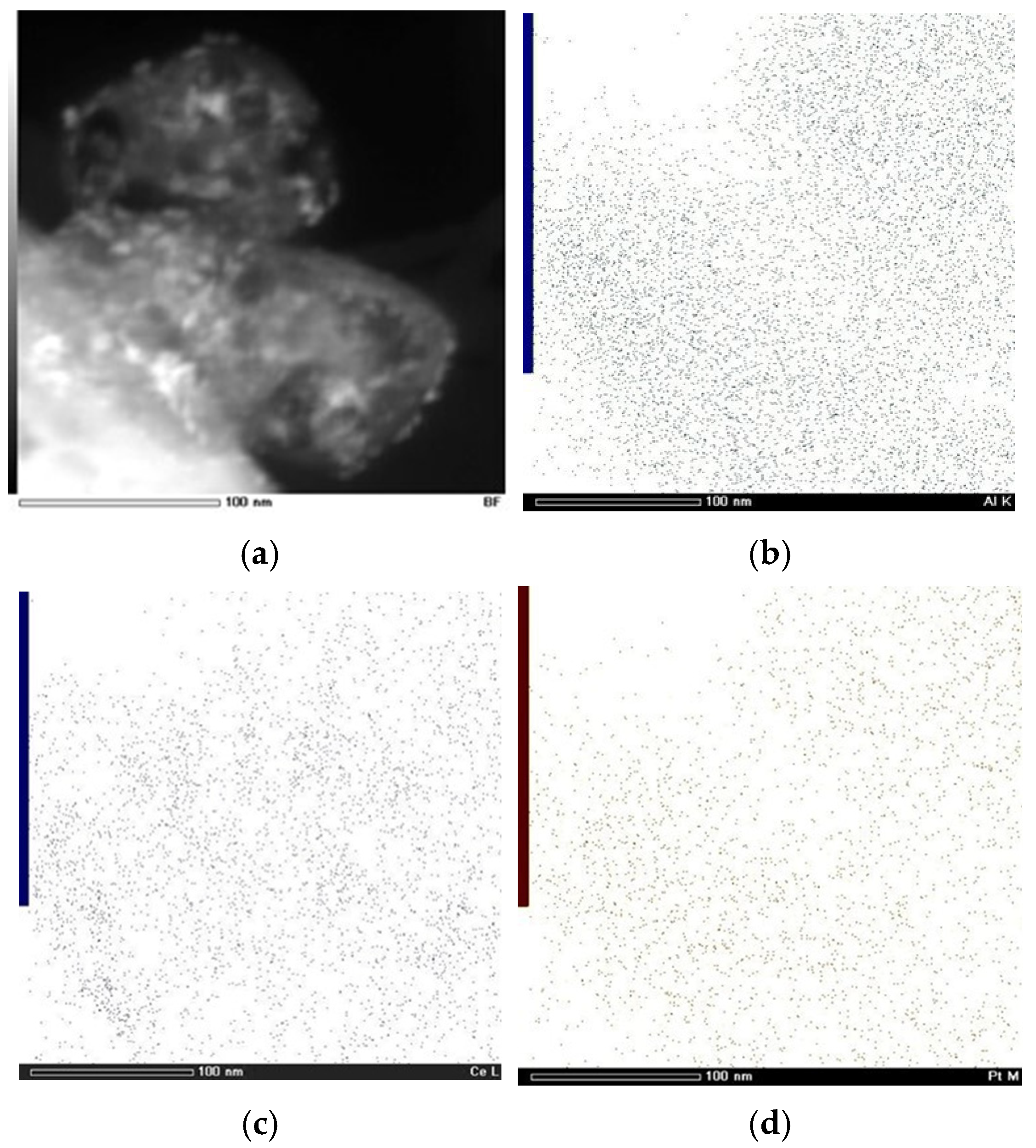 Molecules 31 00156 g005