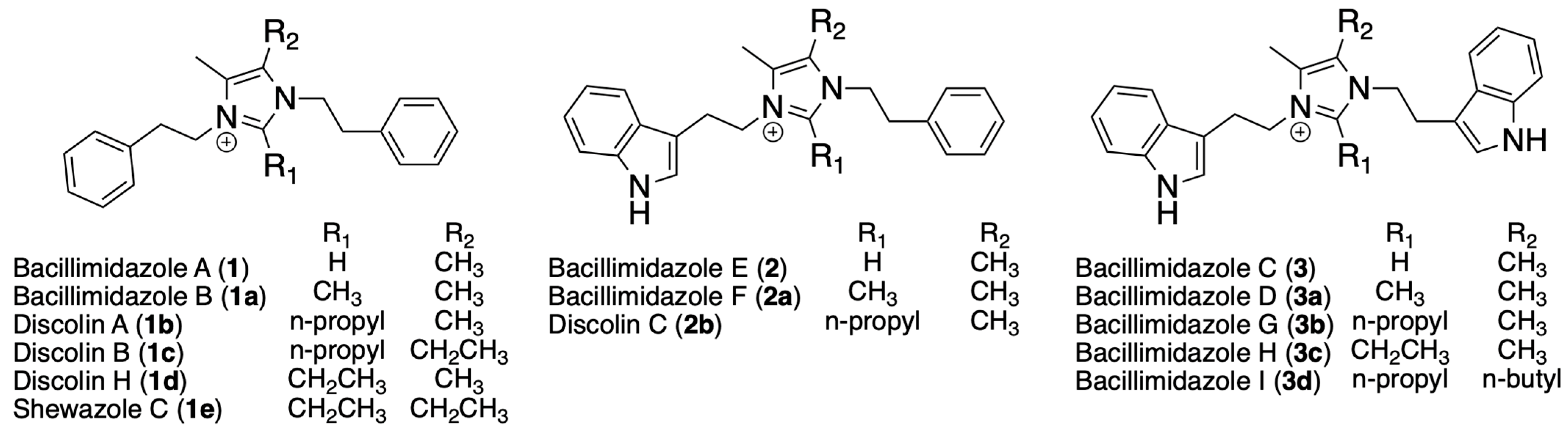 Molecules 31 00159 g001
