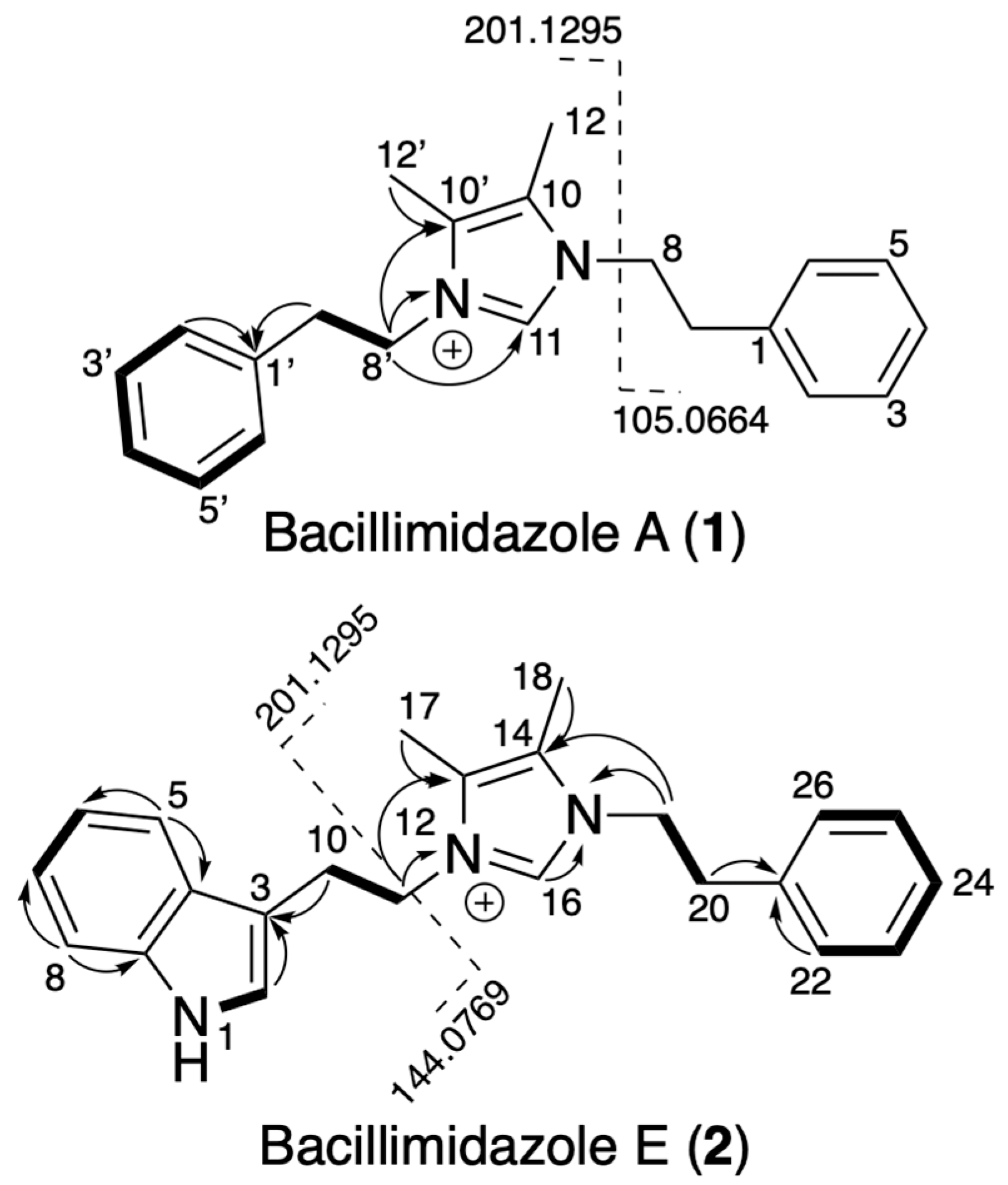 Molecules 31 00159 g002
