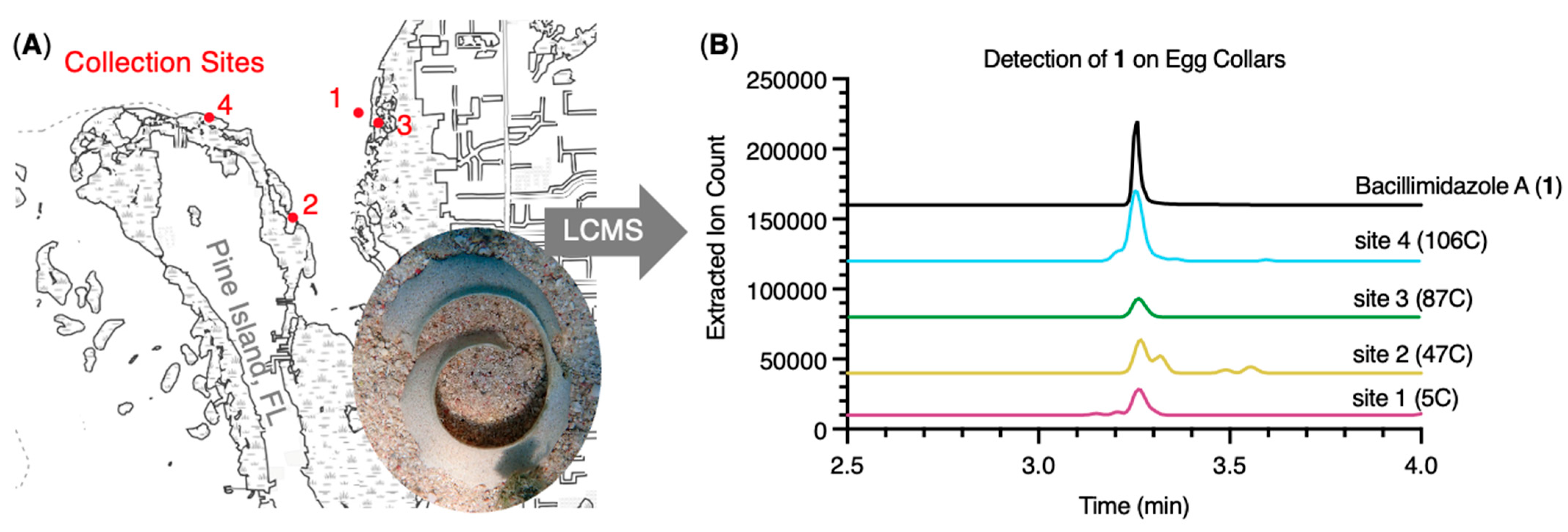 Molecules 31 00159 g004