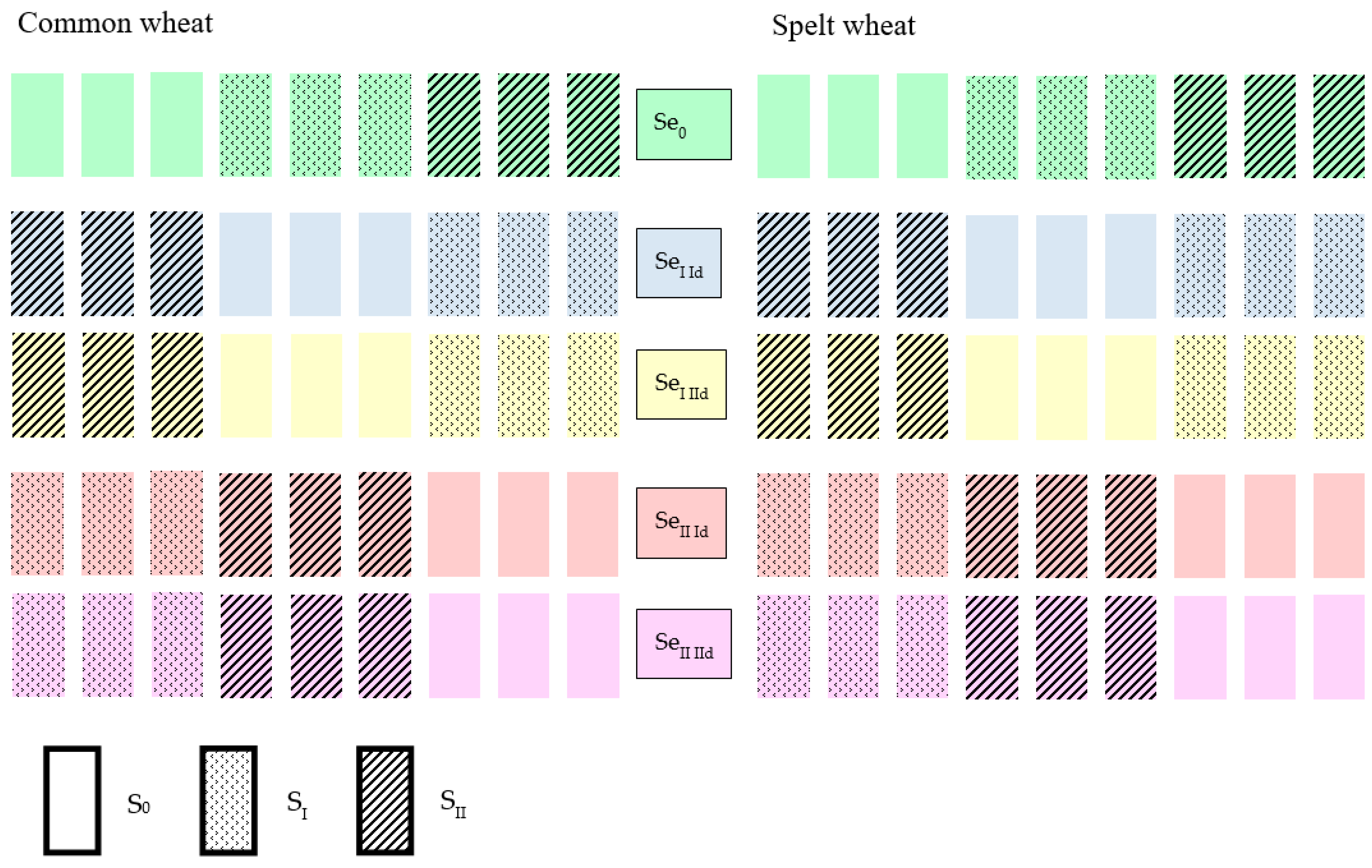 Molecules 31 00160 g001
