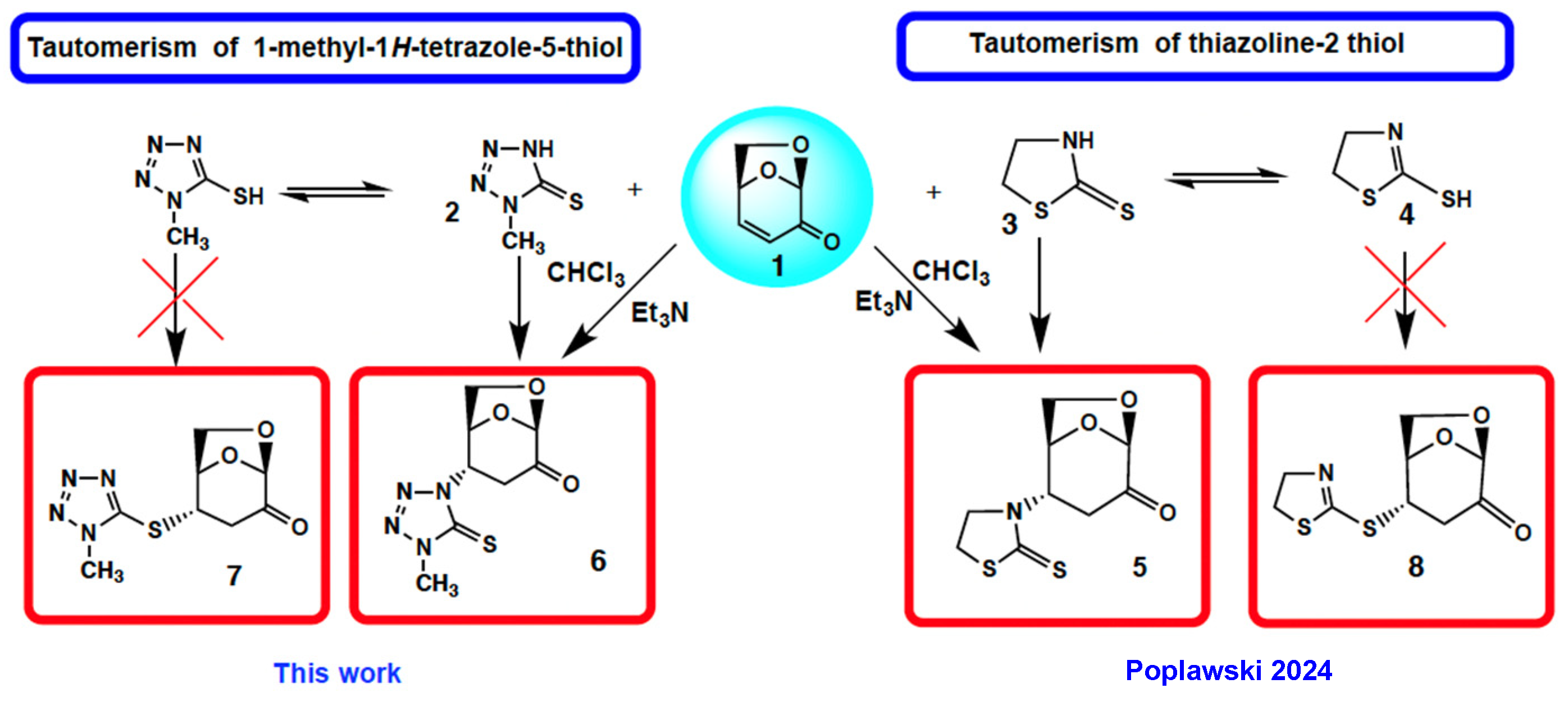 Molecules 31 00164 sch001